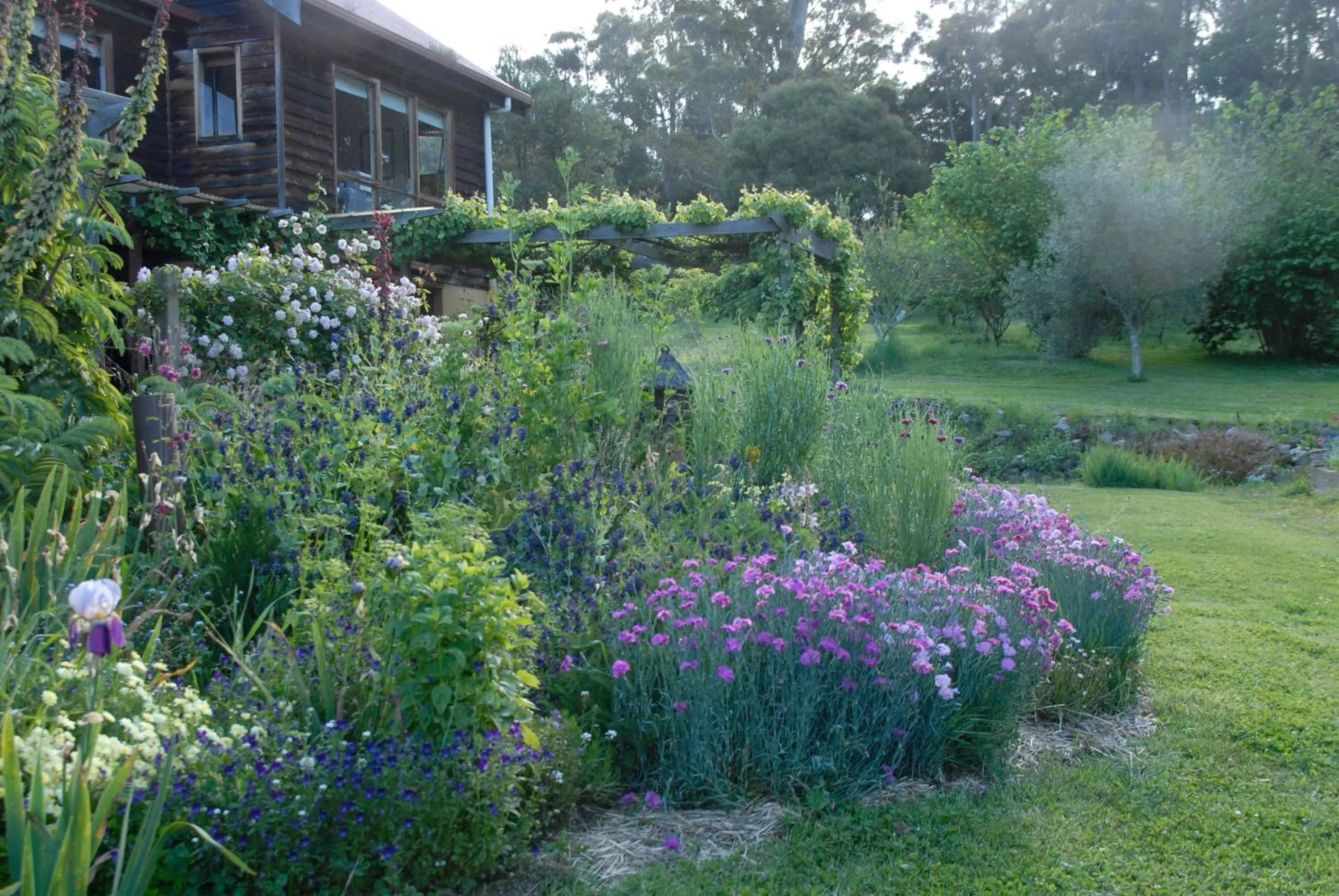 Garden in Birdwing Bed and Breakfast Weegena