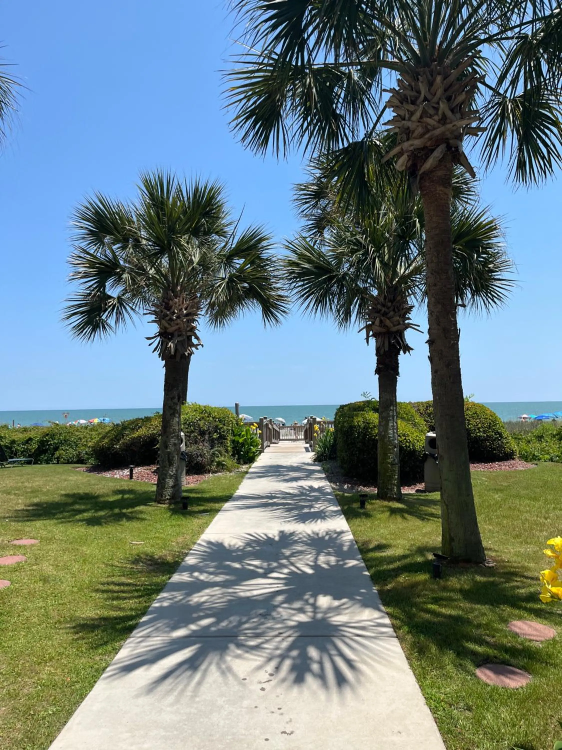 Ocean Dream Vacation