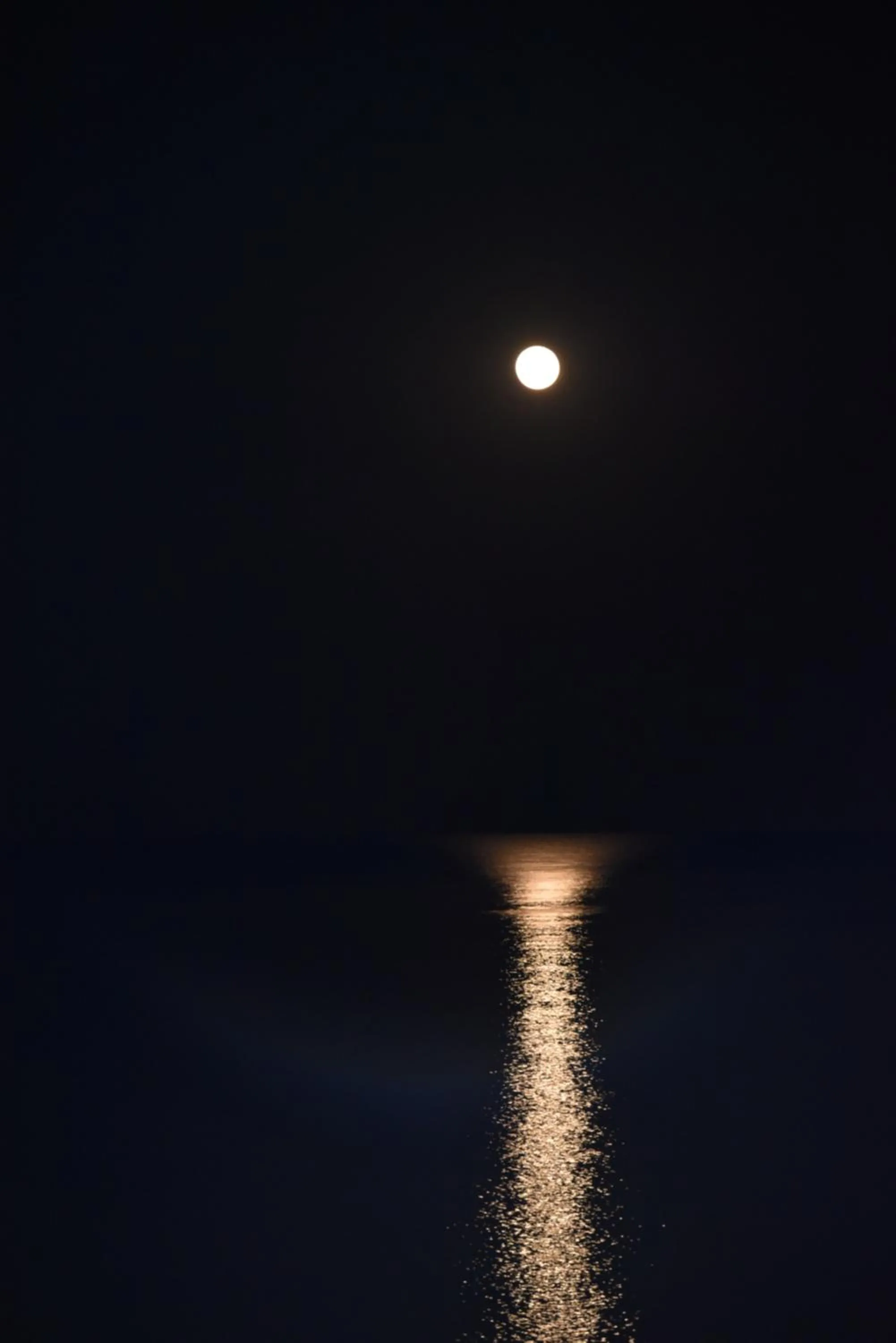 Ocean Dream Vacation