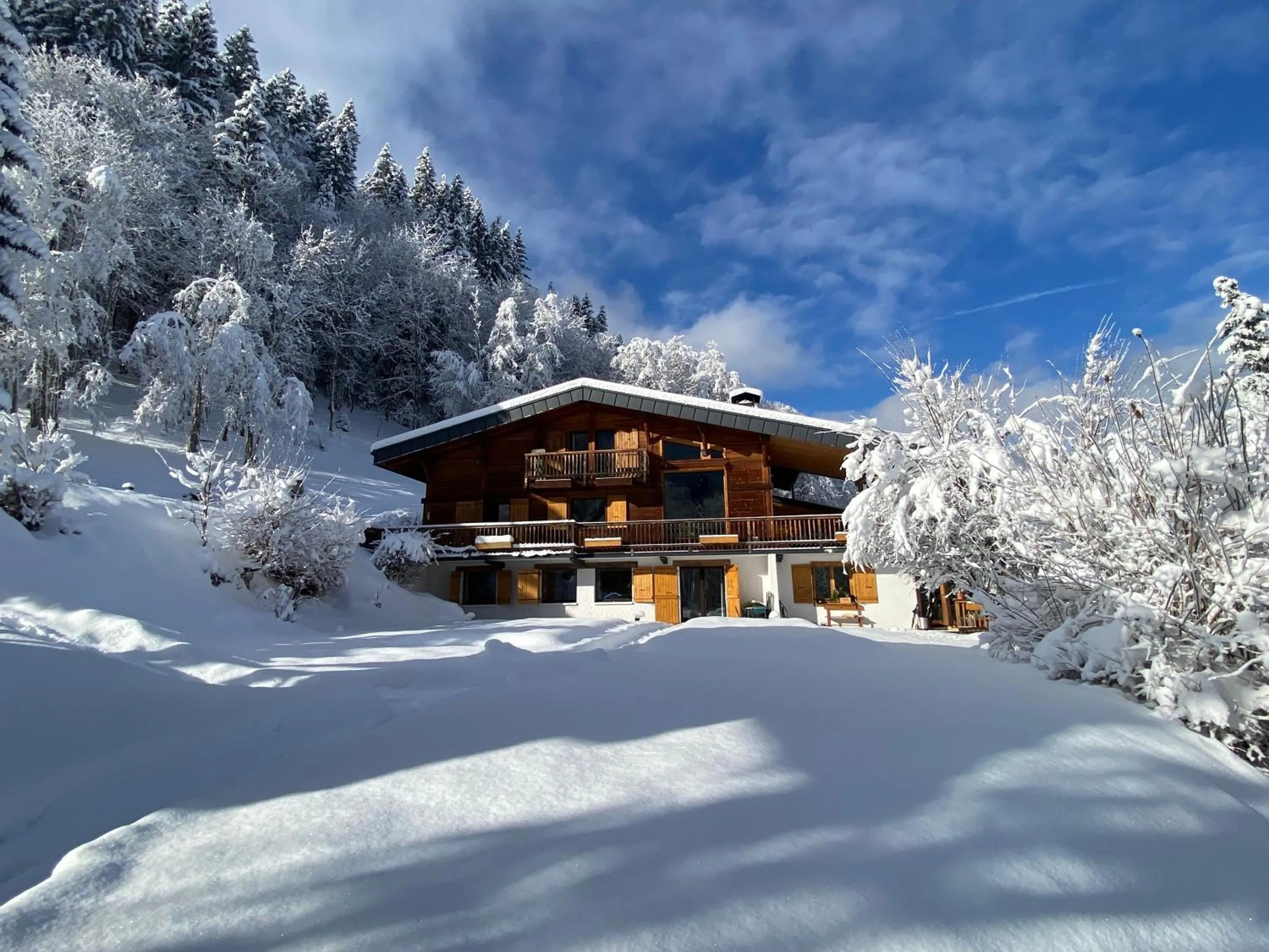Chalet Mountain Vibes