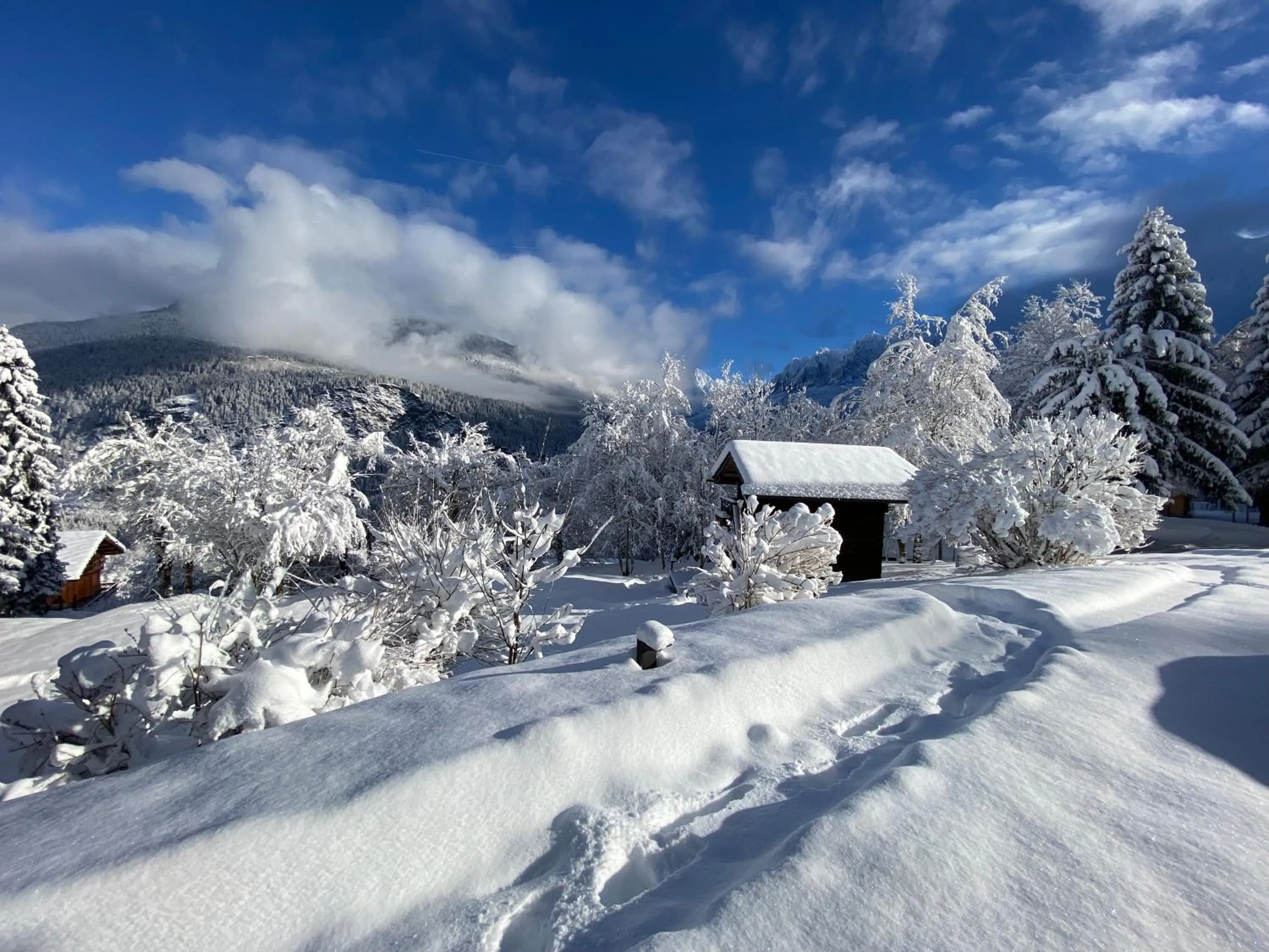 Chalet Mountain Vibes