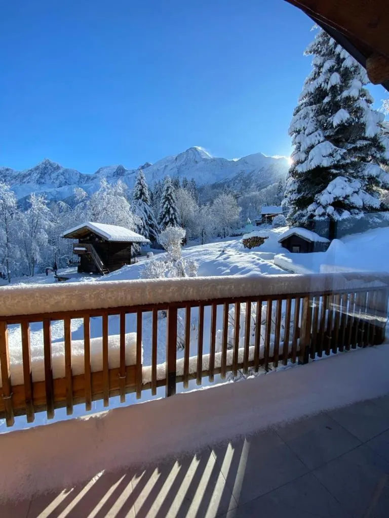 Chalet Mountain Vibes