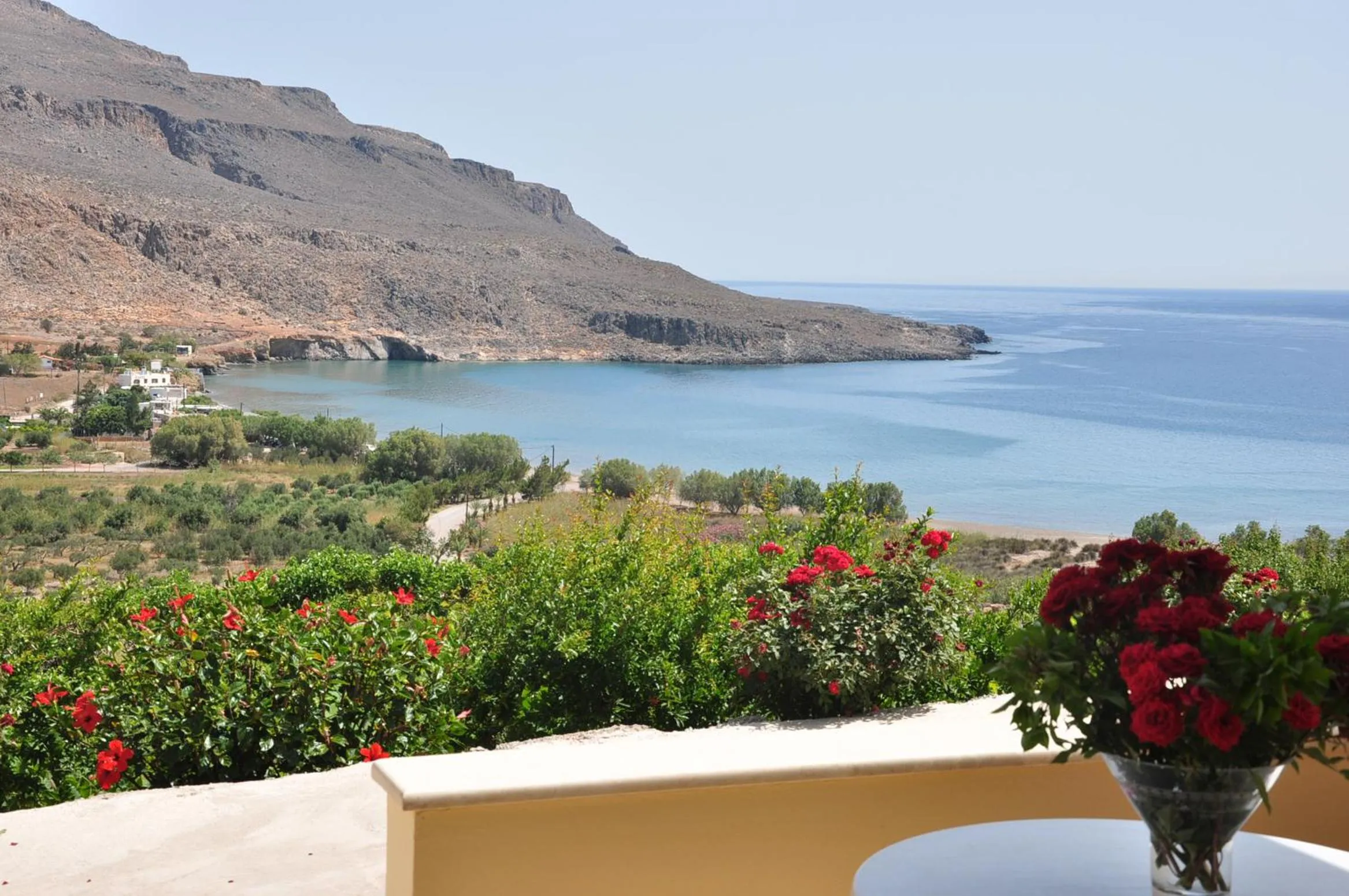 Balcony/Terrace in Kato Zakros Palace Apartments