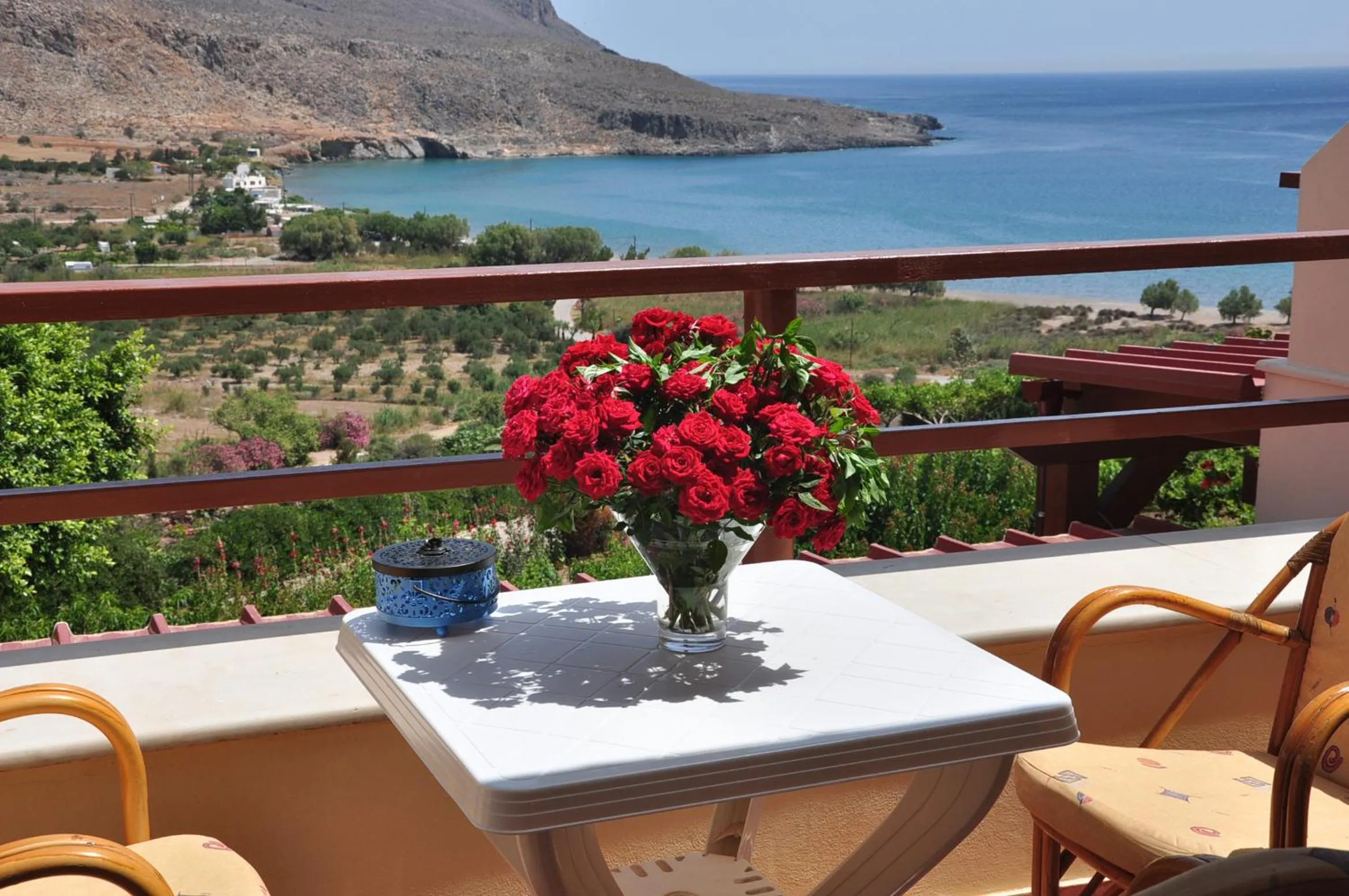 Balcony/Terrace in Kato Zakros Palace Apartments