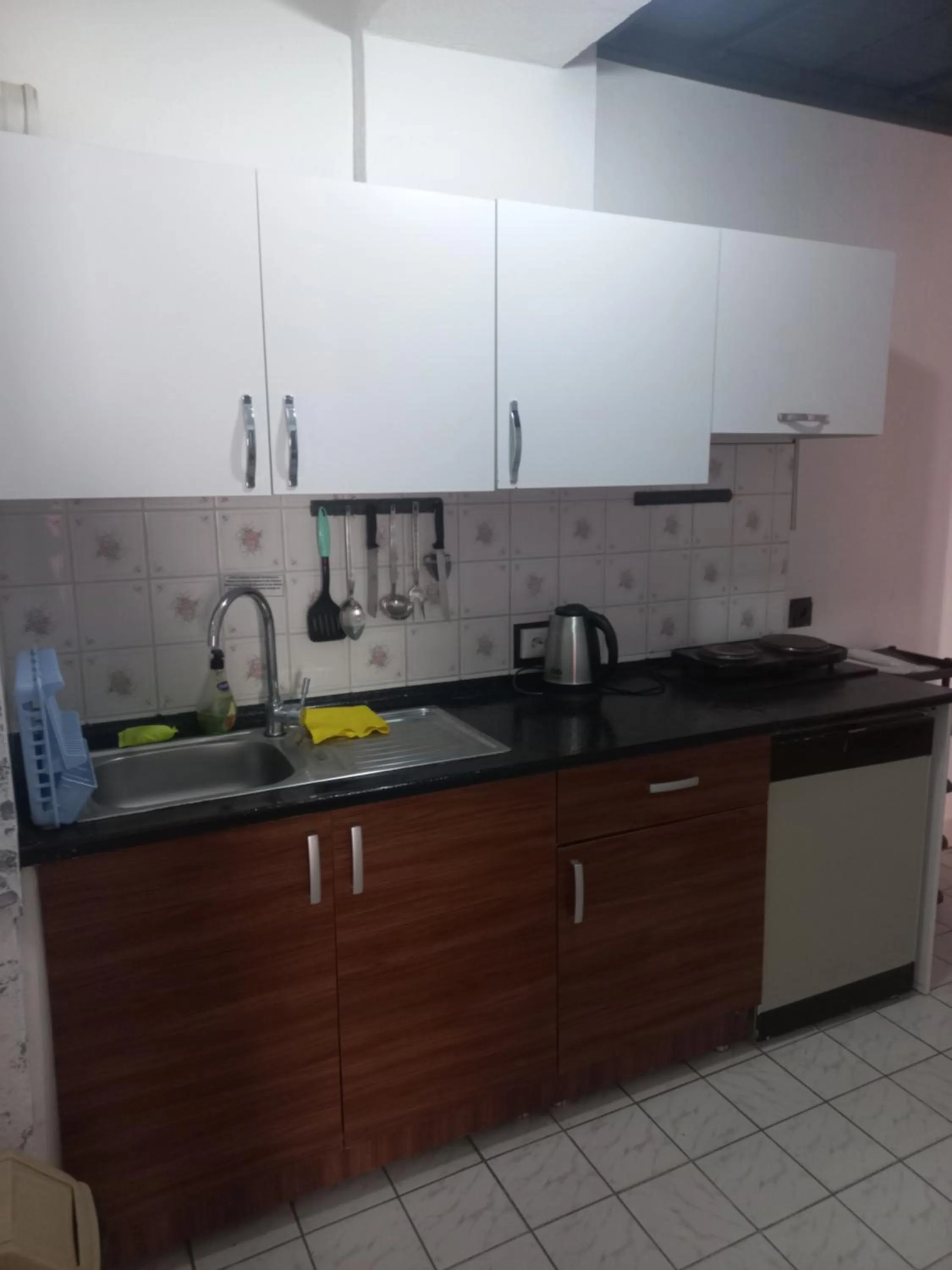 Kitchen or kitchenette in Delphin Apart Hotel