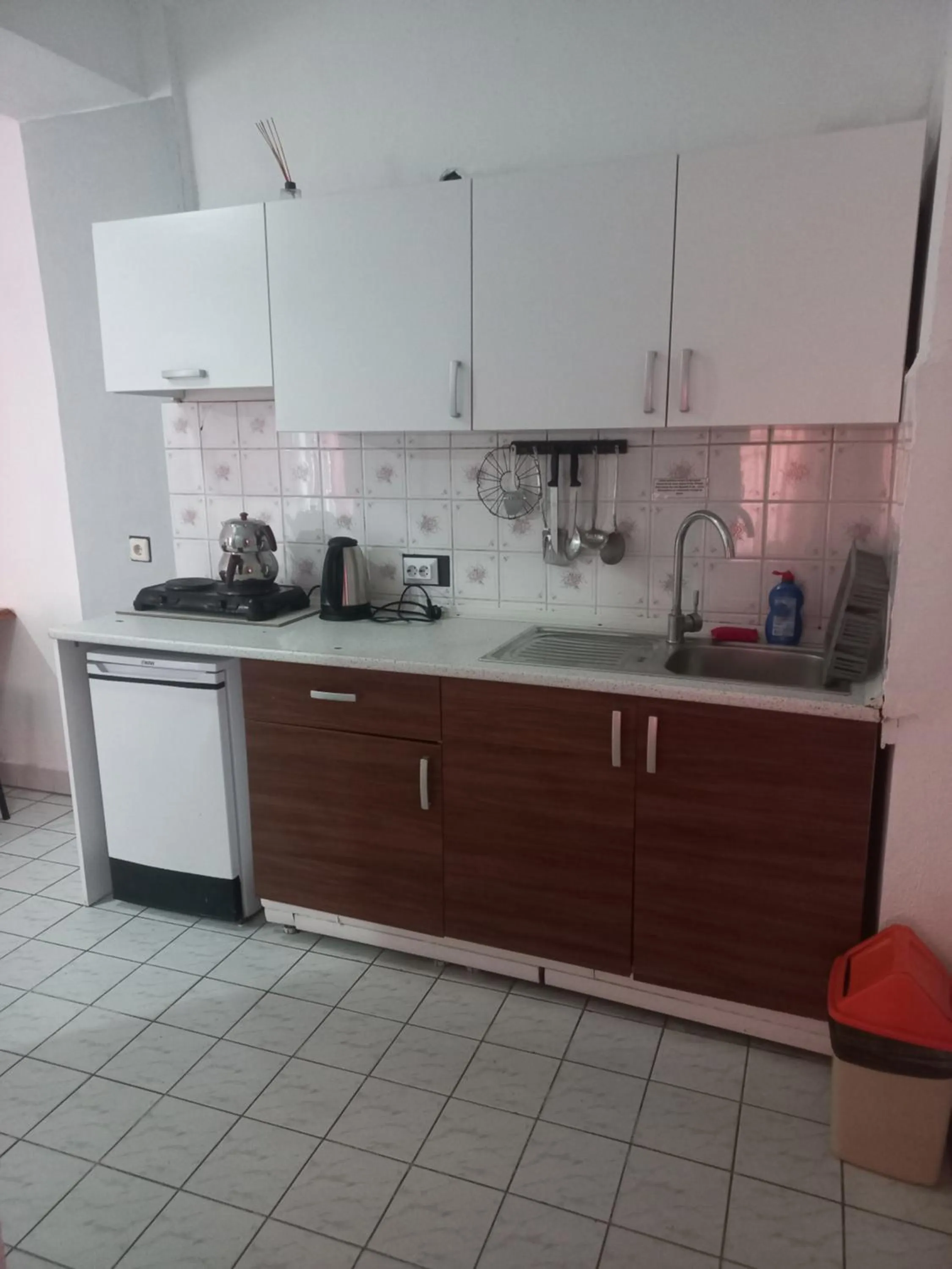 Kitchen or kitchenette in Delphin Apart Hotel