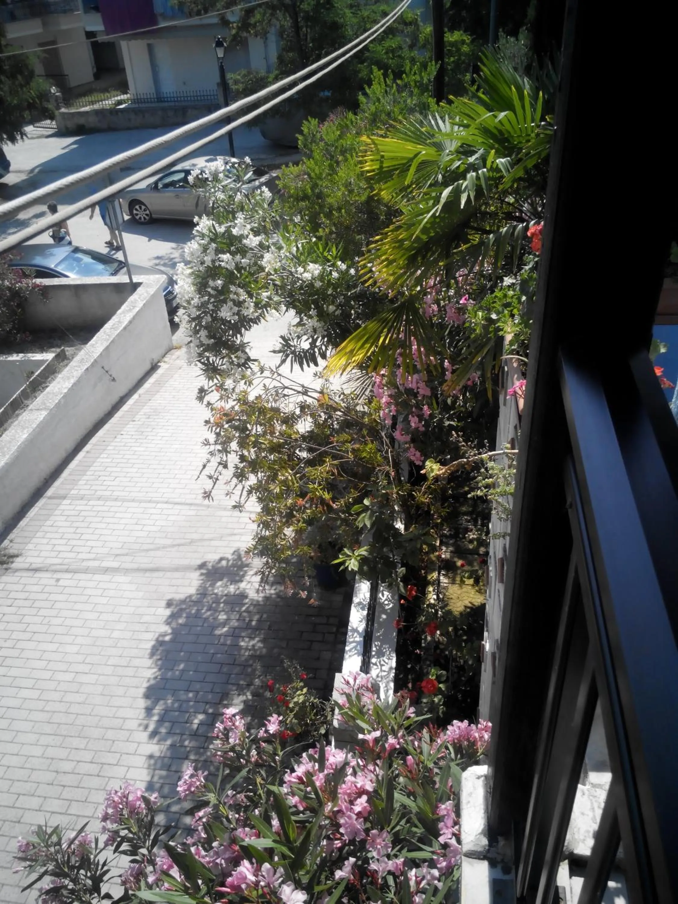 Balcony/Terrace in Tassos 2