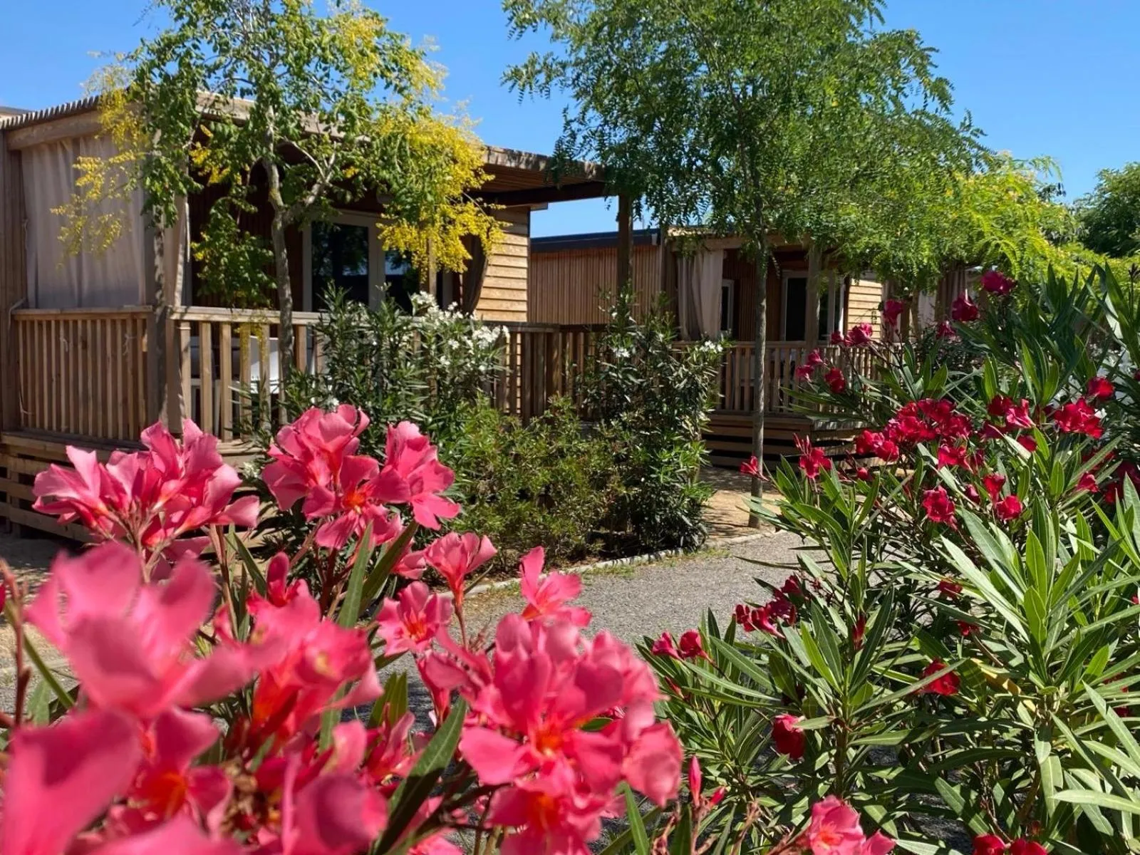 Garden view in Camping Resort Els Pins