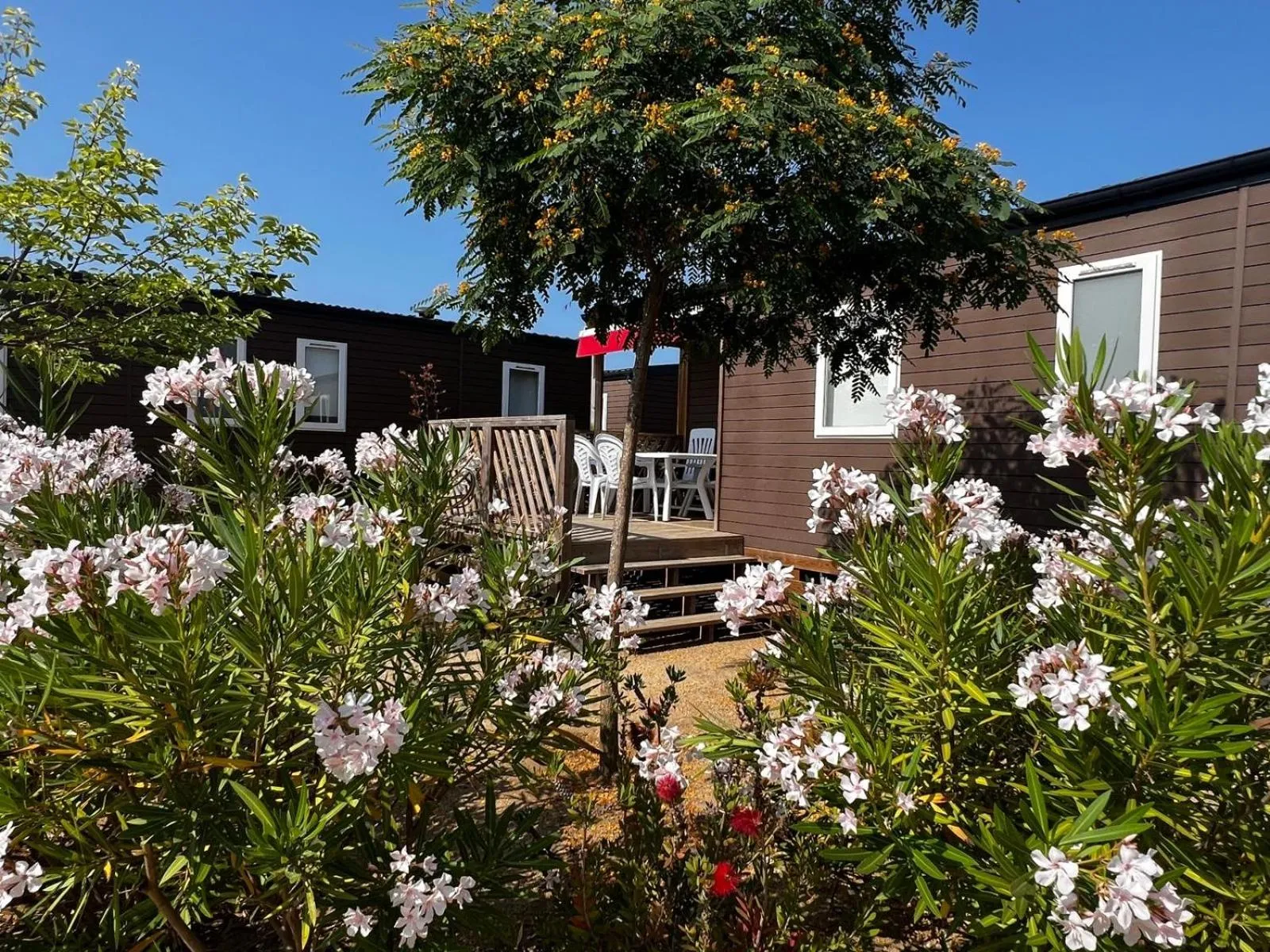 Camping Resort Els Pins