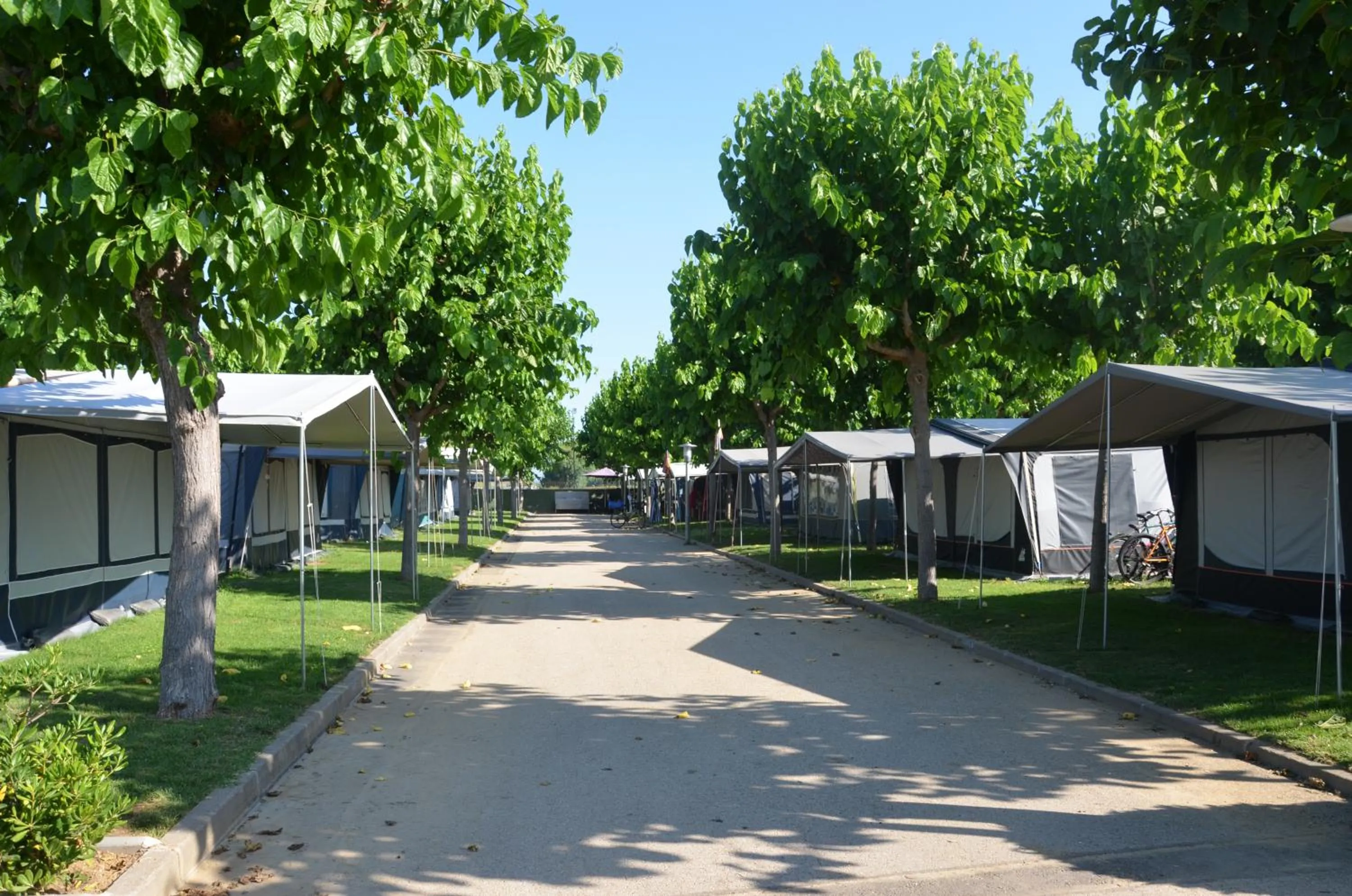 Natural landscape in Camping Resort Els Pins