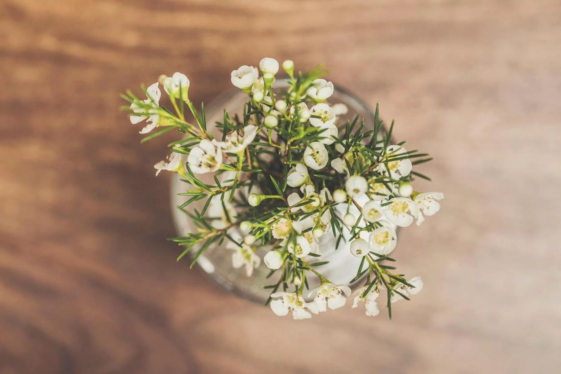 Emma's kleines Hotel