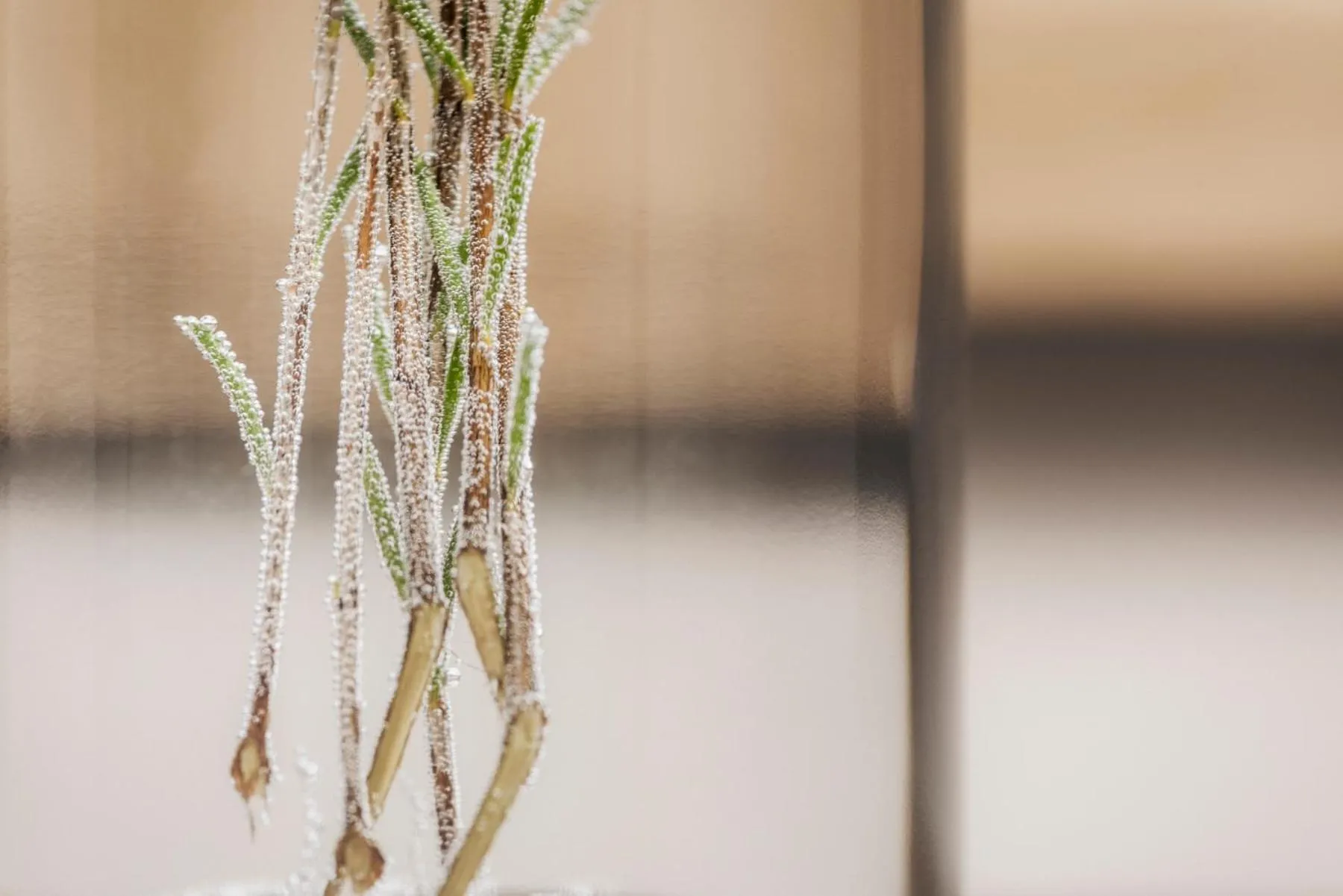 Emma's kleines Hotel