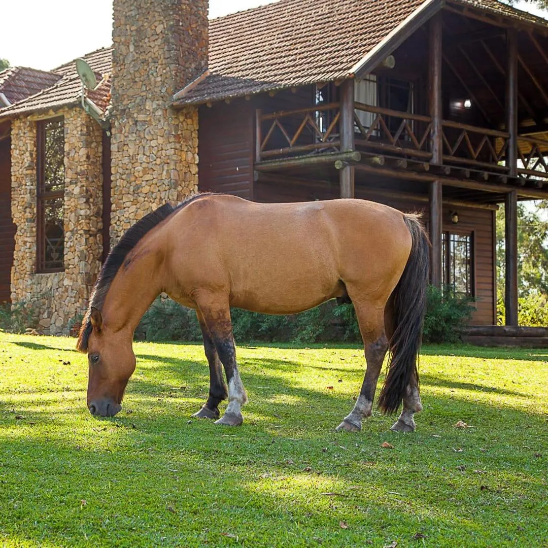 Garden in Aires de Patagonia