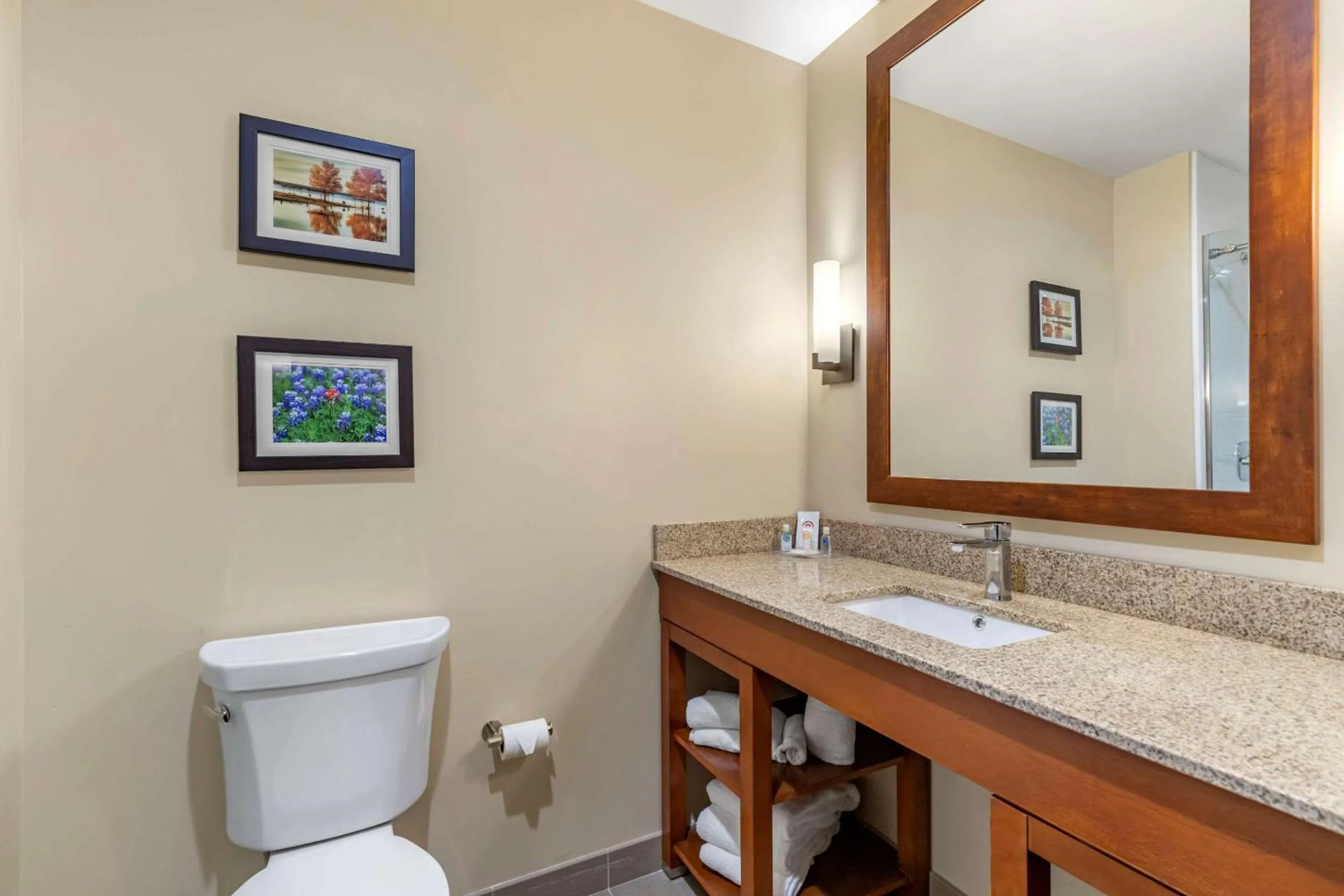 Bathroom in Comfort Suites San Antonio Ft Sam Houston-SAMMC Area