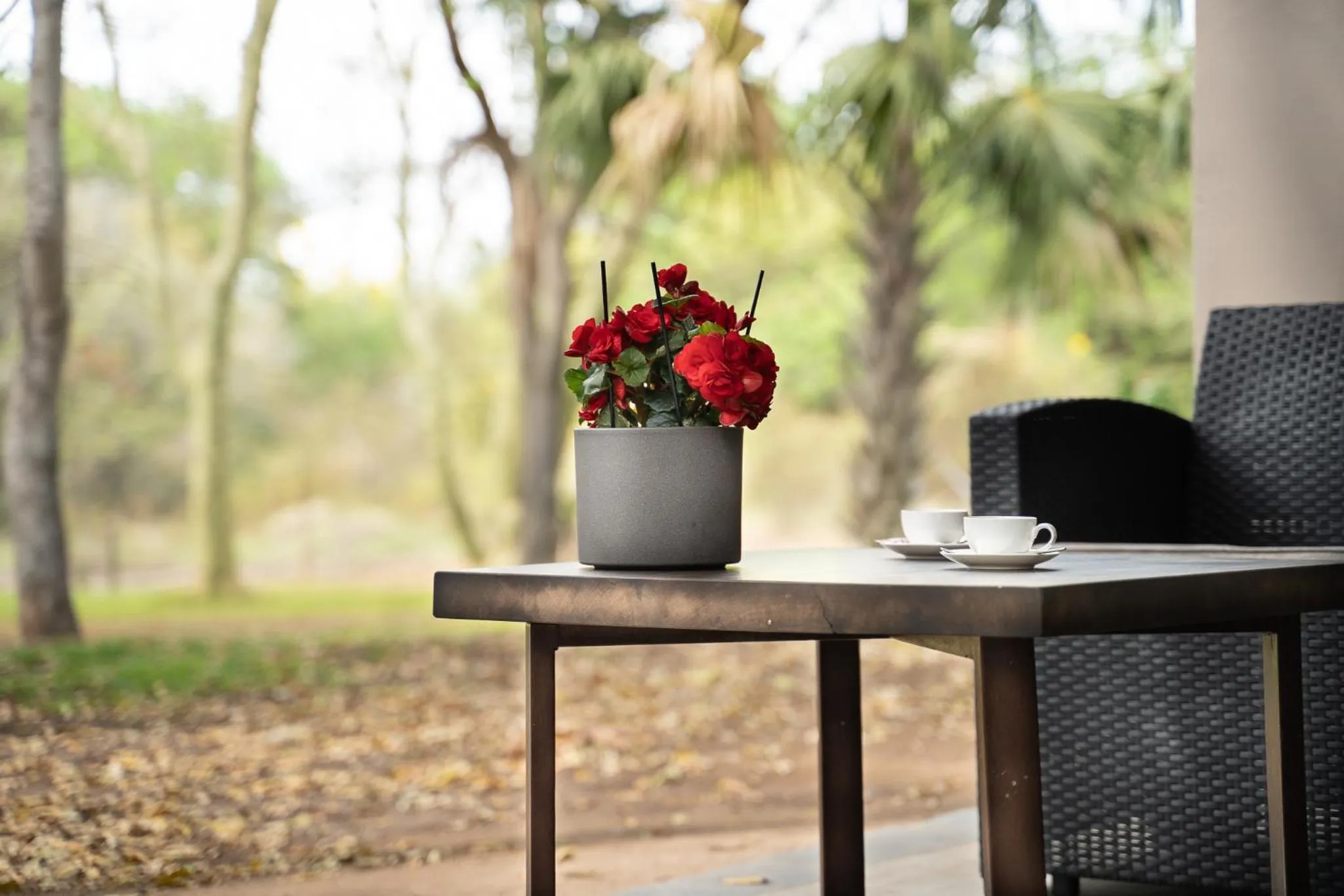 Garden in Kruger Eden Lodge