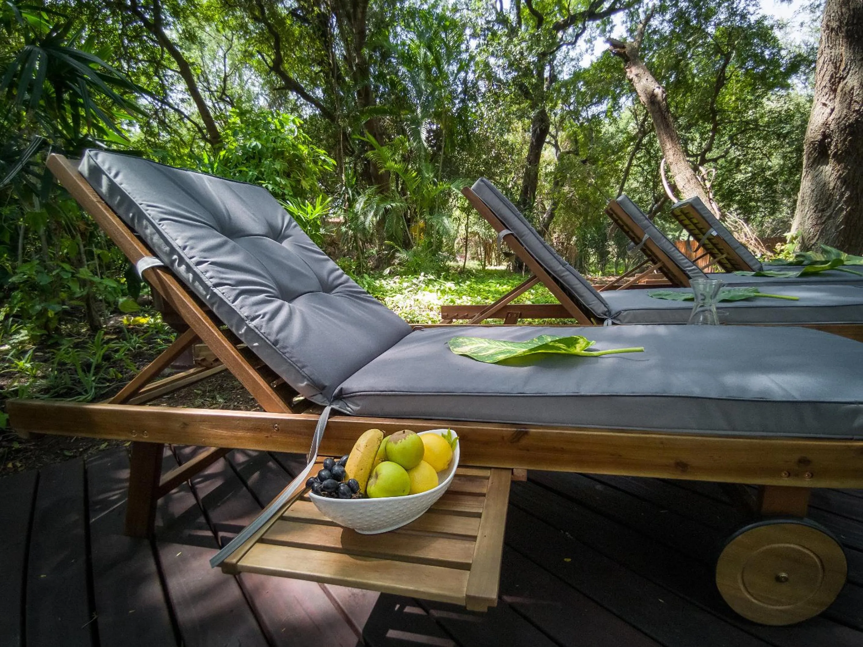 Garden in Kruger Eden Lodge