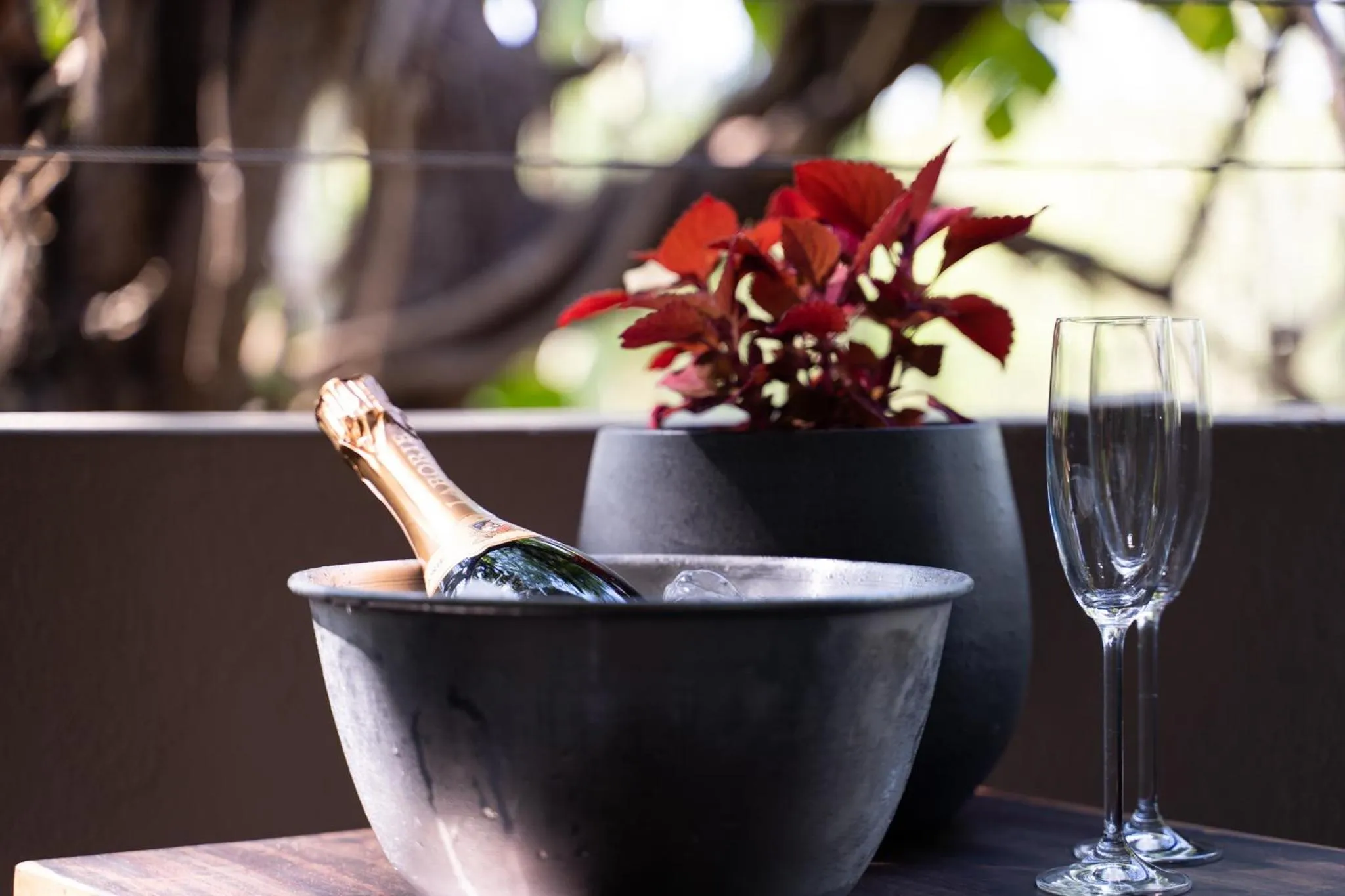 Food and drinks in Kruger Eden Lodge