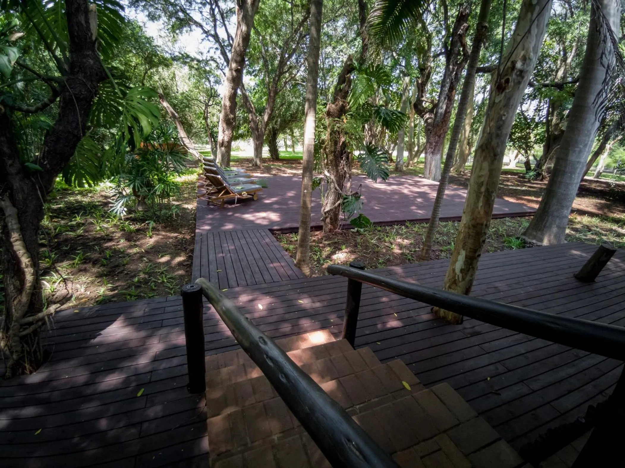 Garden in Kruger Eden Lodge