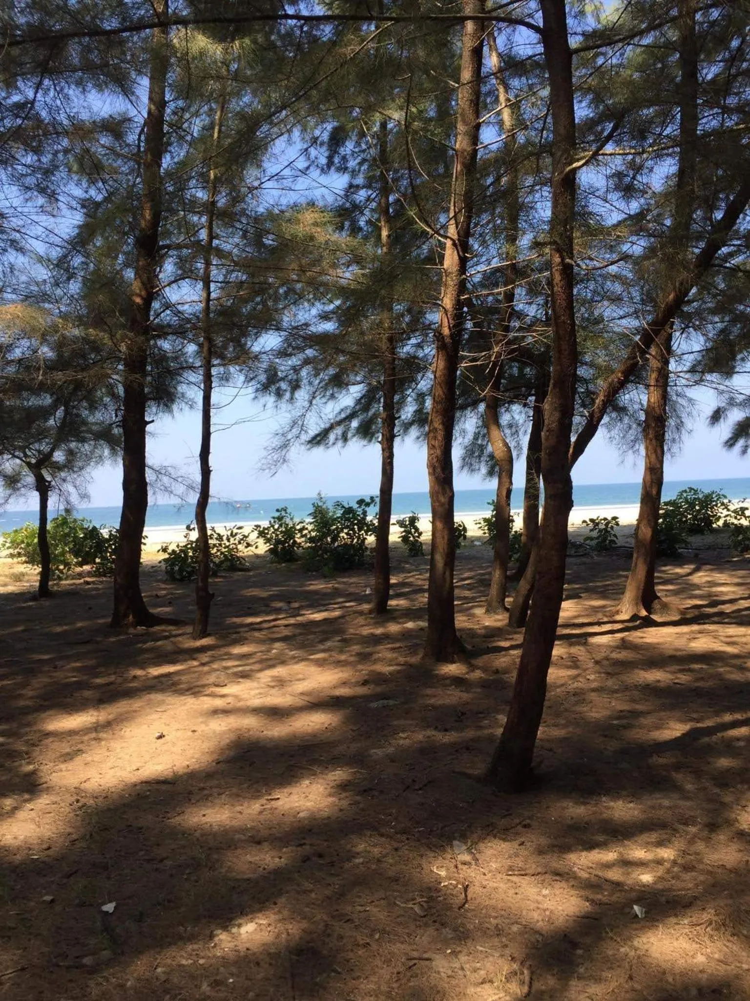 Natural landscape in Andaman Peace Resort