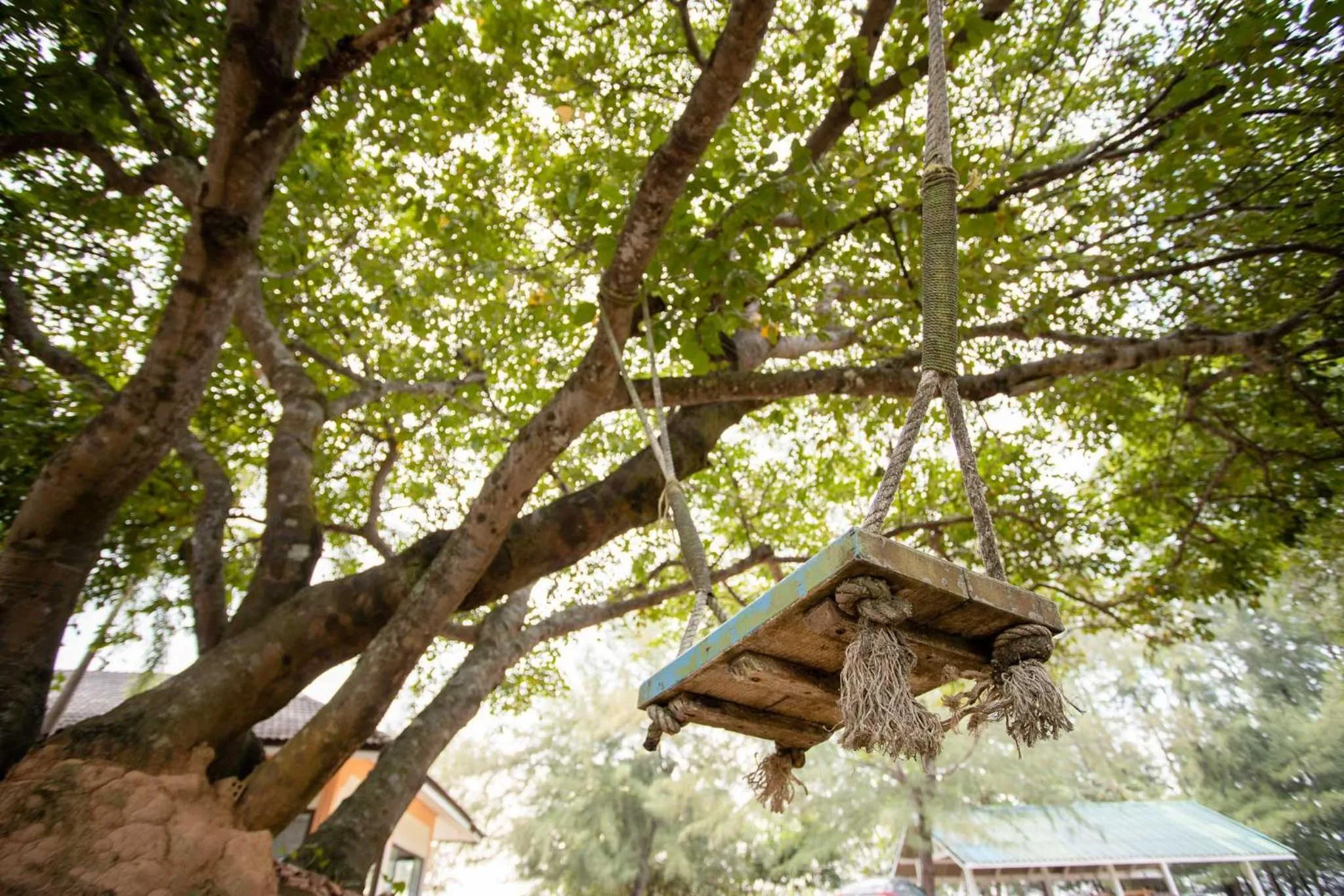 Natural landscape in Andaman Peace Resort