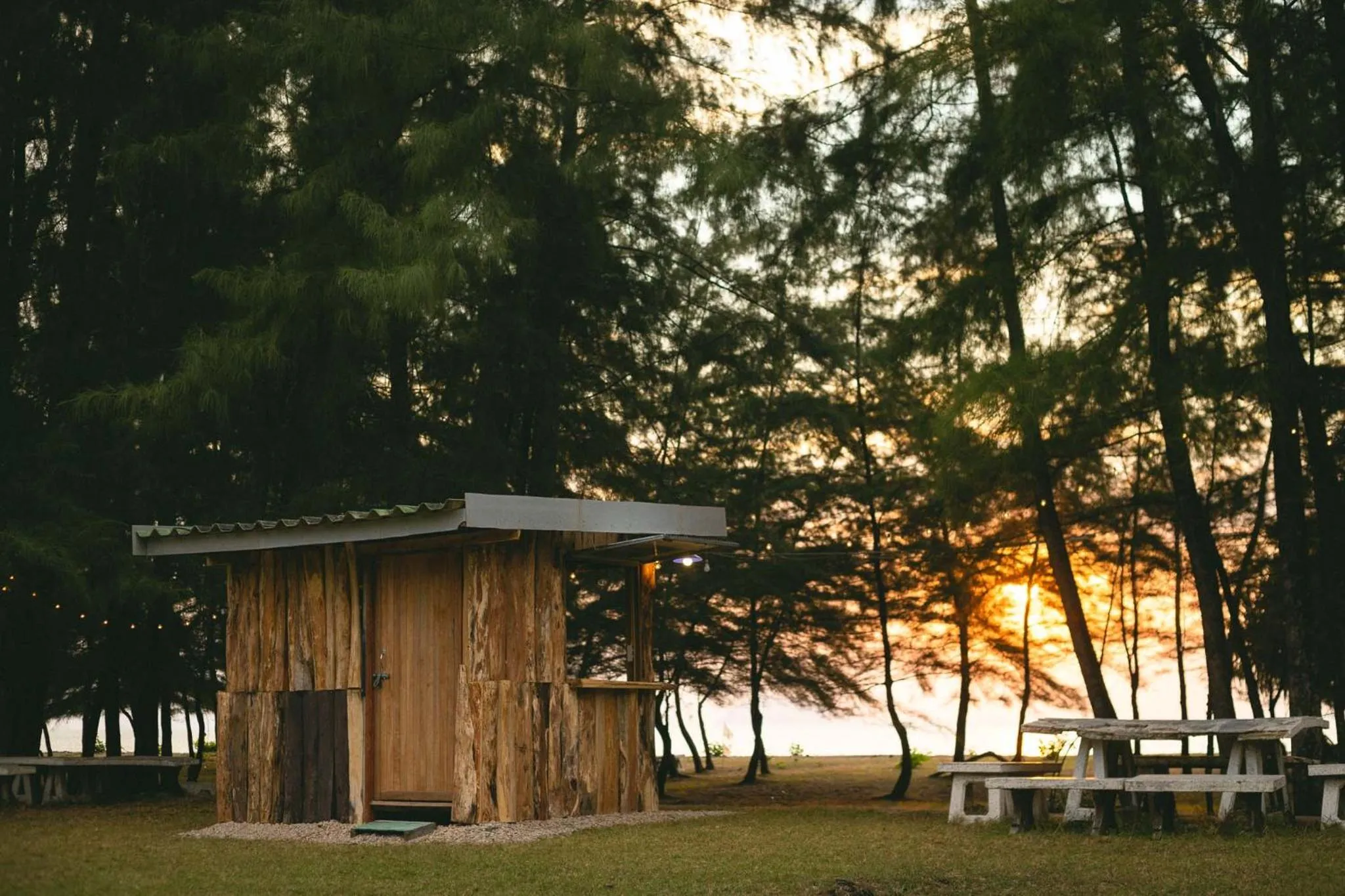 Beach in Andaman Peace Resort
