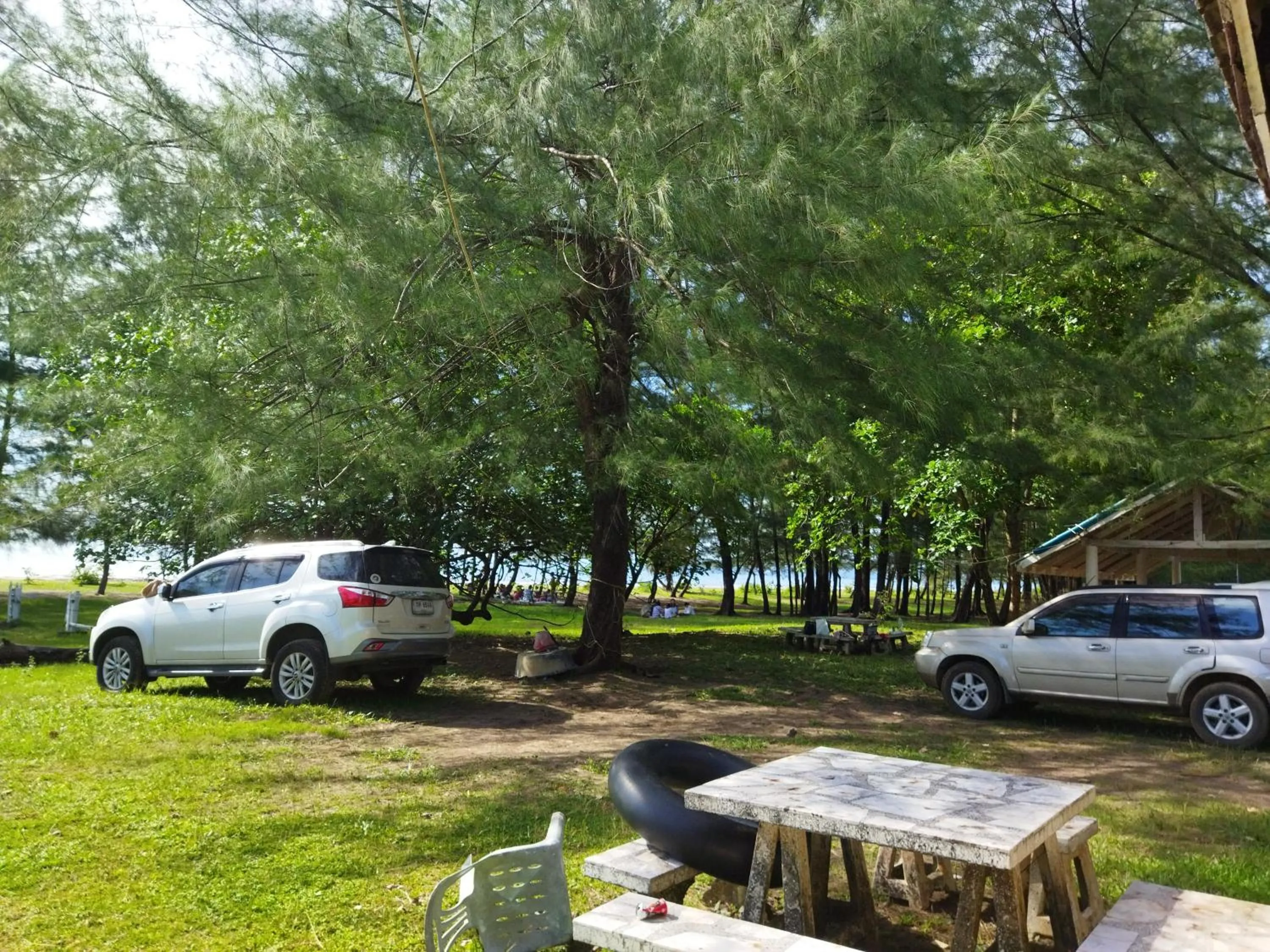 Garden in Andaman Peace Resort