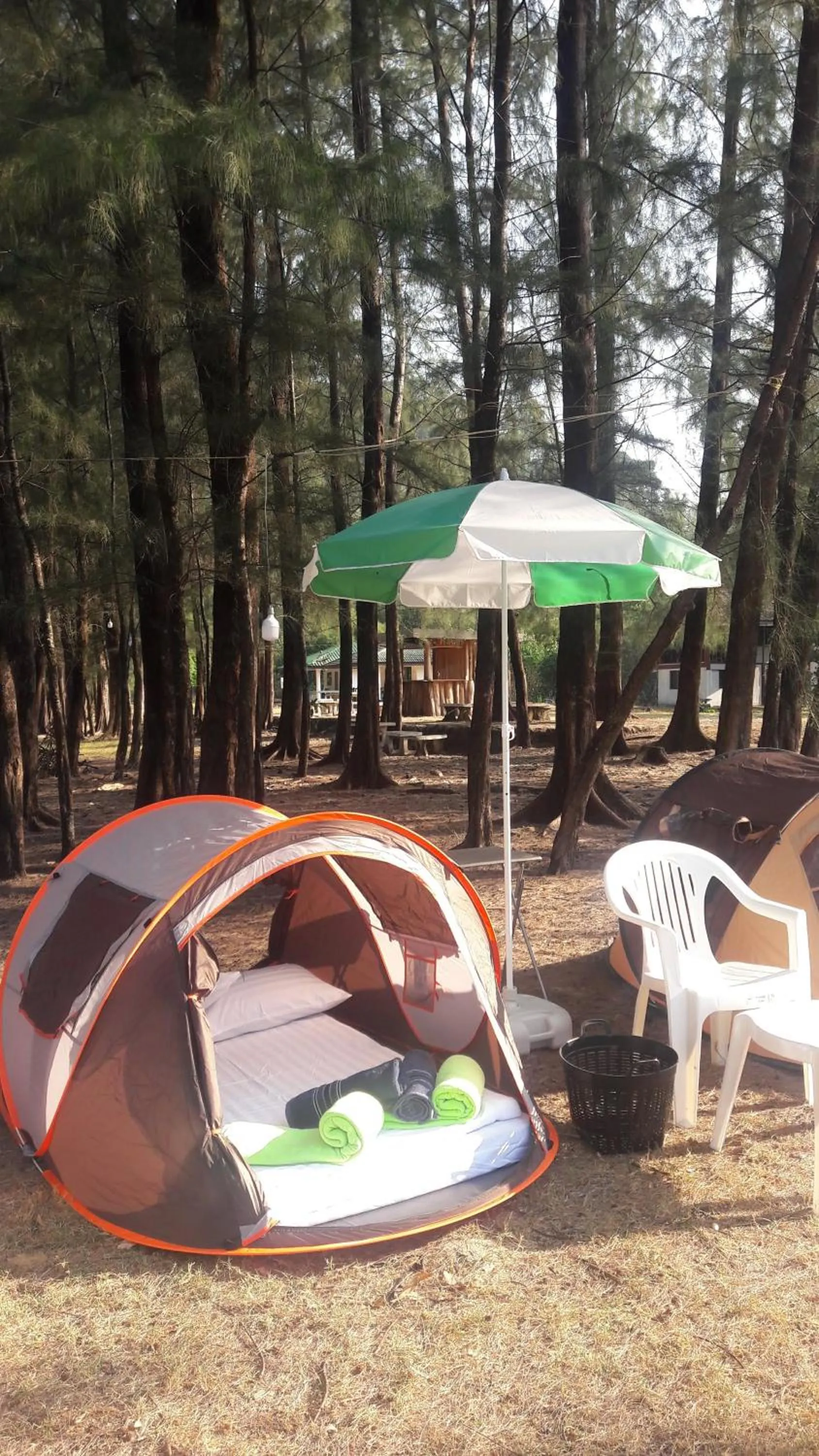 Garden in Andaman Peace Resort