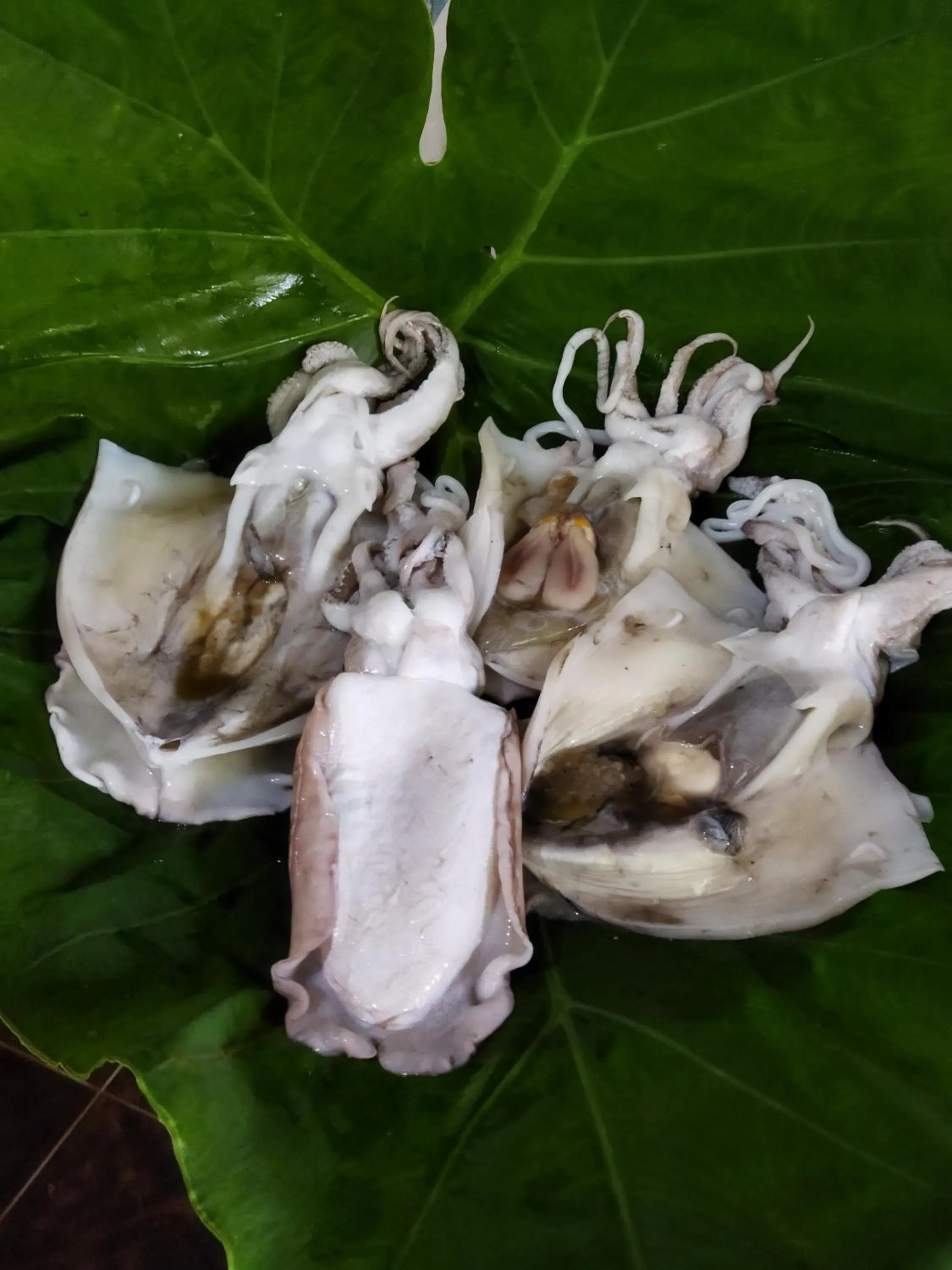Food in Andaman Peace Resort