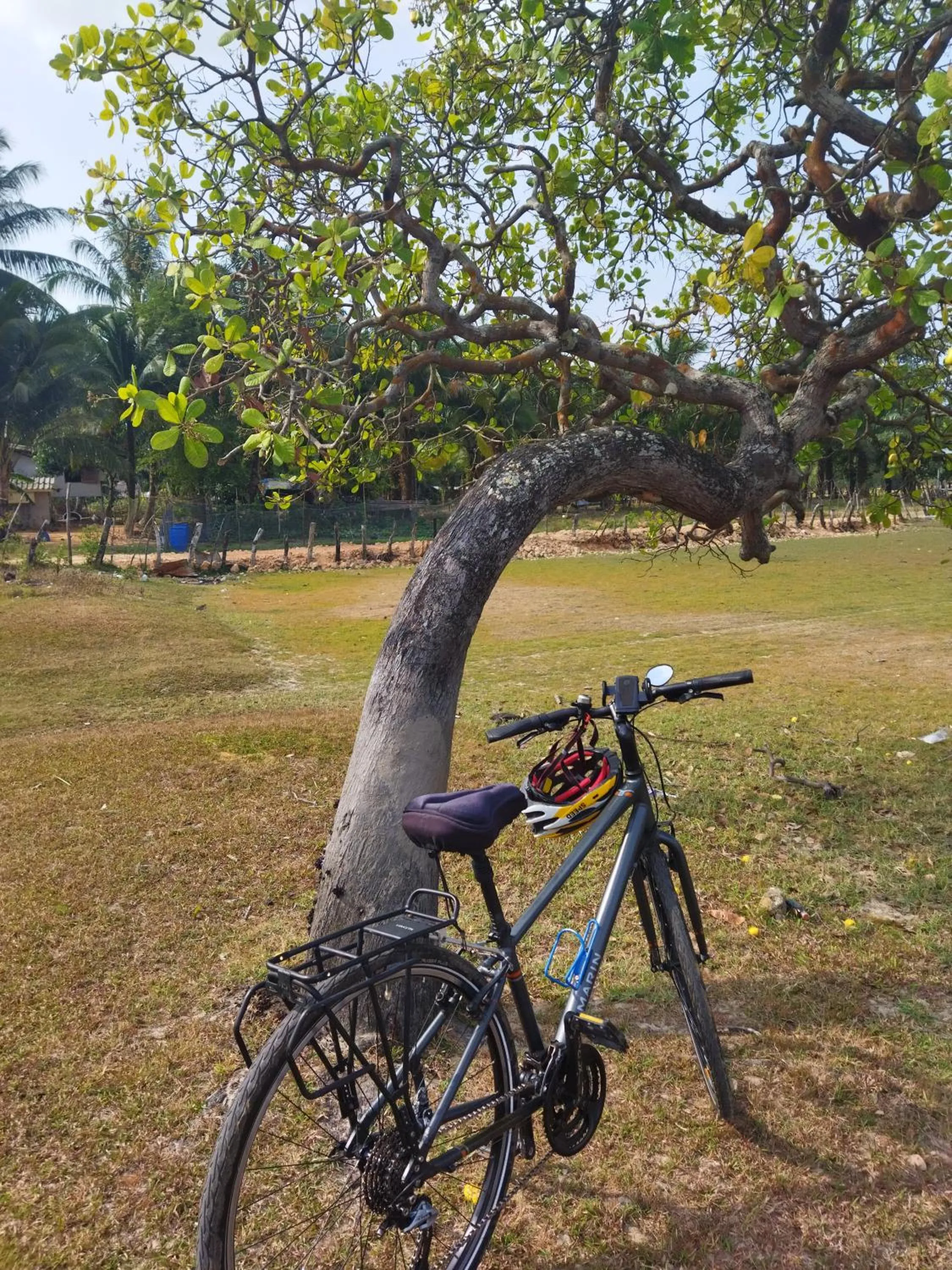 Natural landscape in Andaman Peace Resort