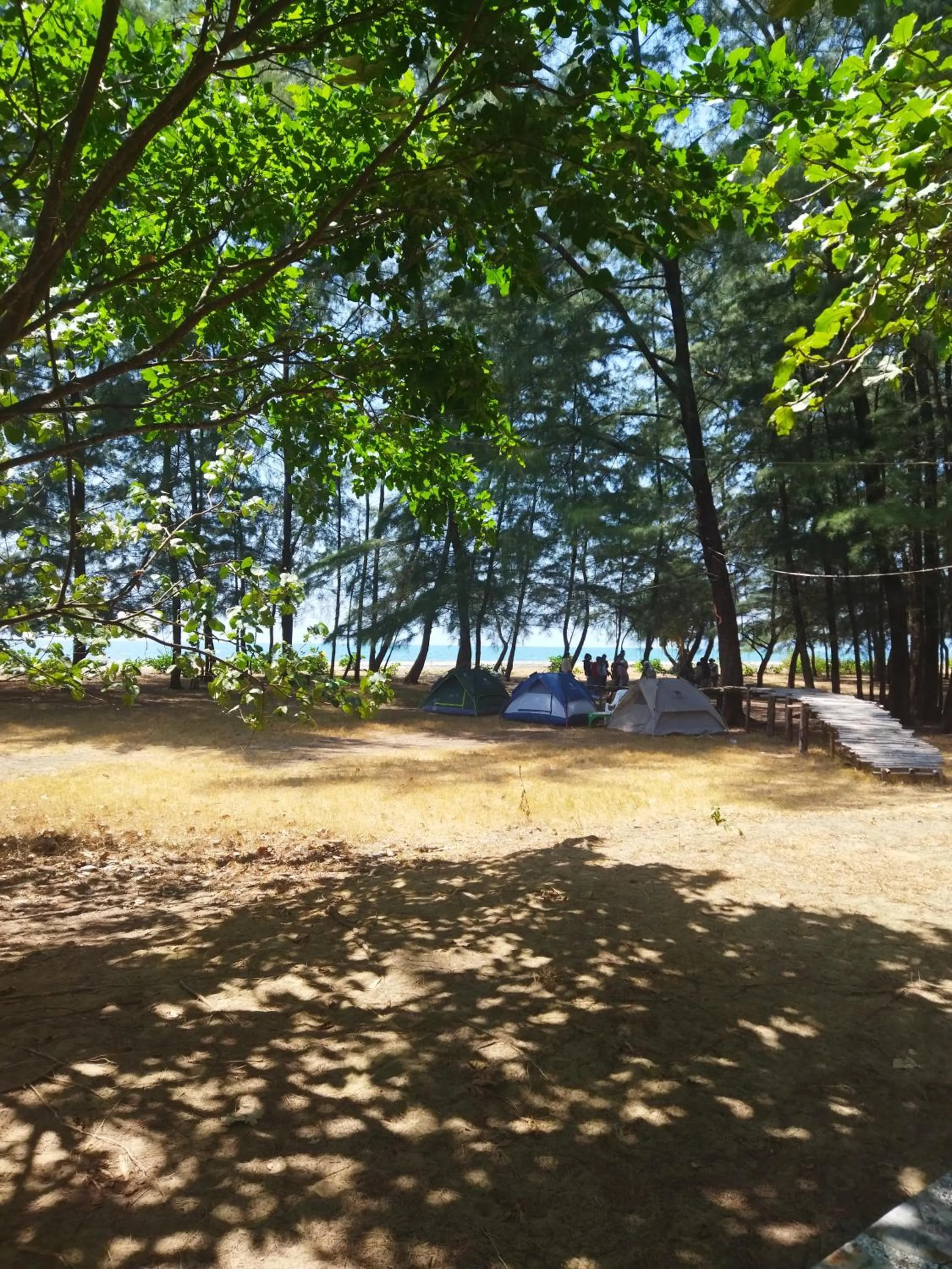 Natural landscape in Andaman Peace Resort