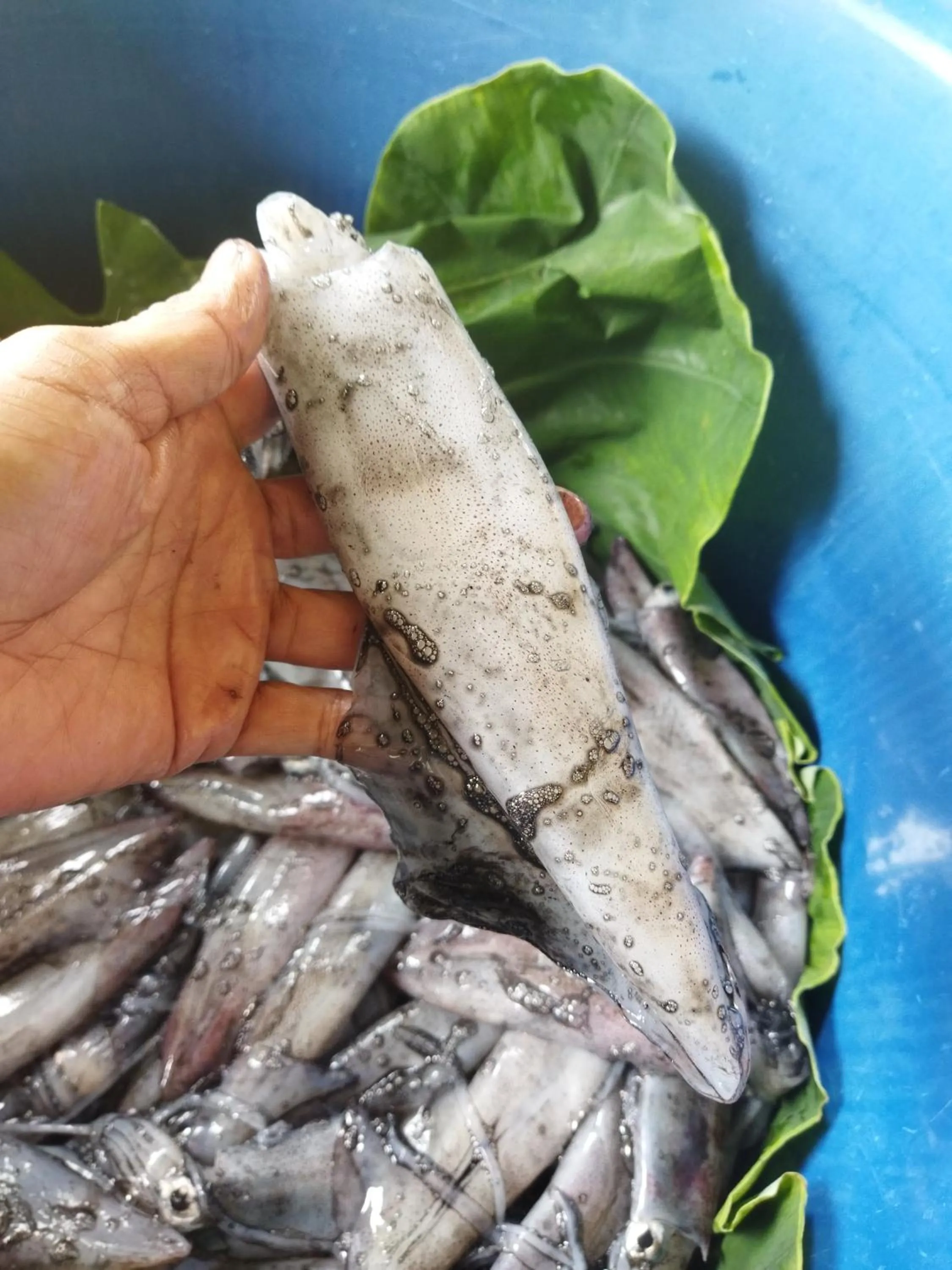 Andaman Peace Resort