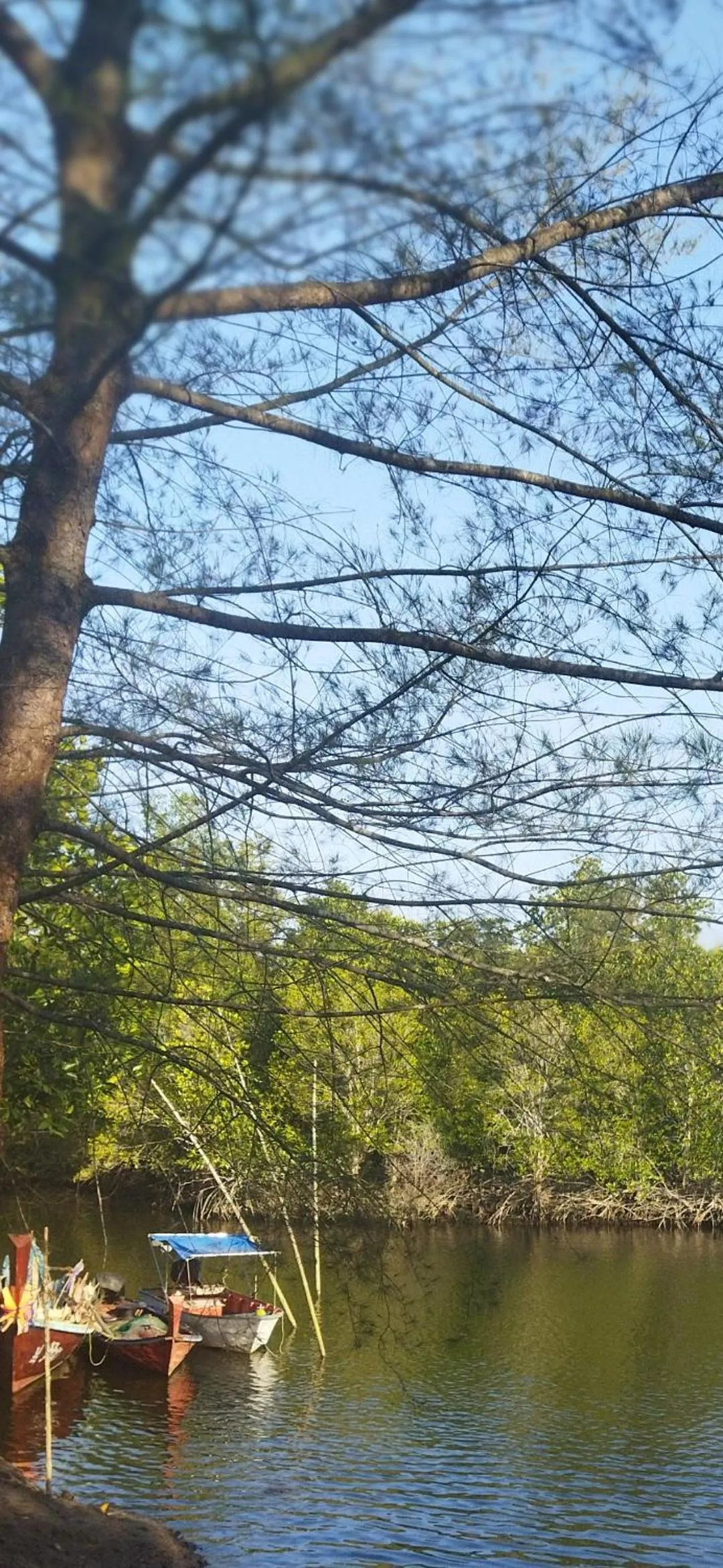 Andaman Peace Resort