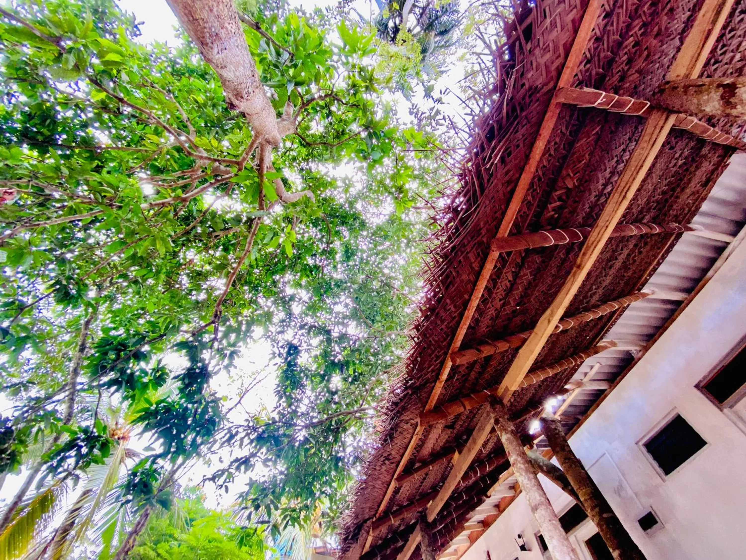 Patio in Hiriketiya Orchid Villa