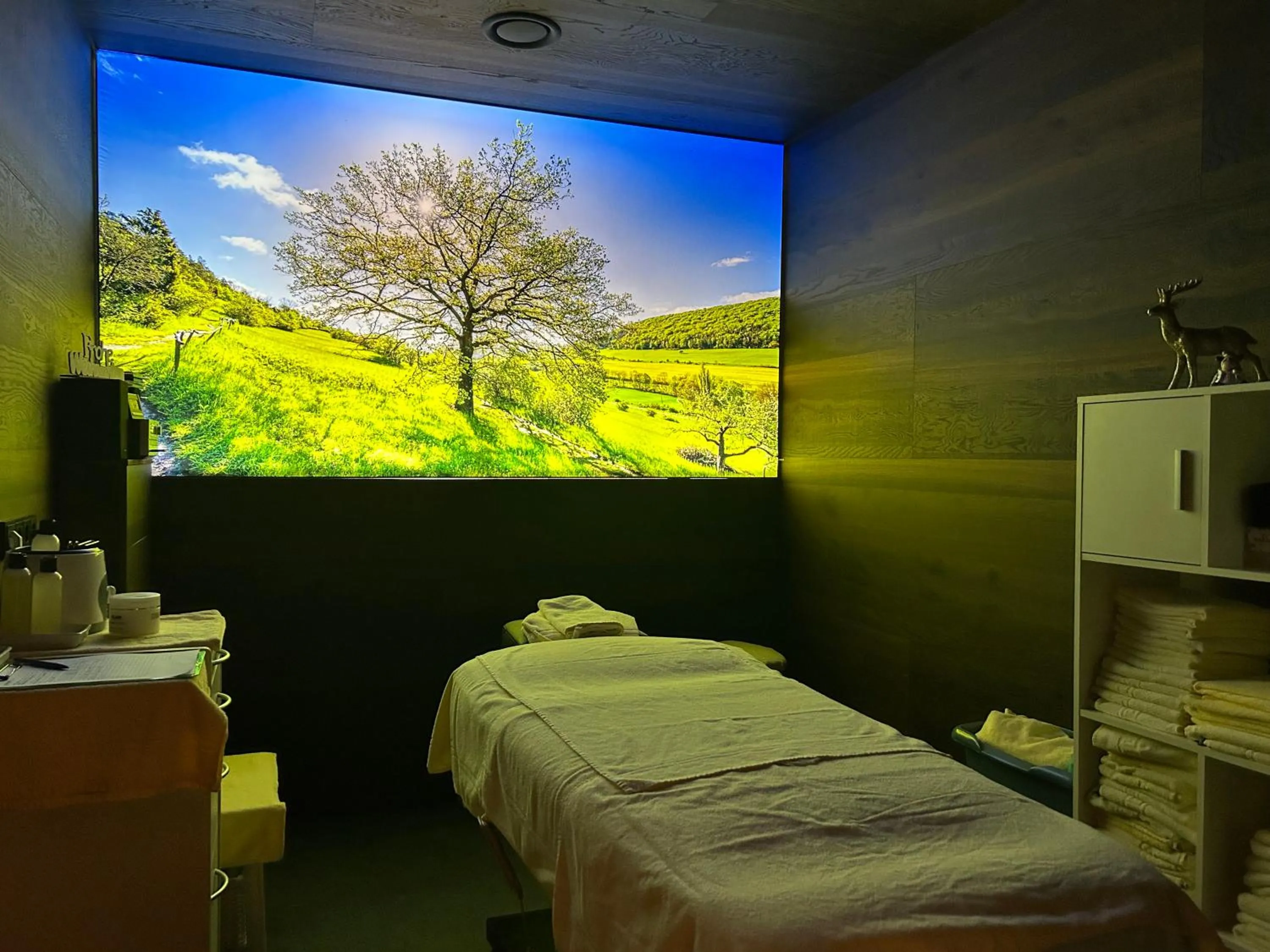 Massage in FAIR RESORT All Inclusive Wellness & Spa Hotel Jena