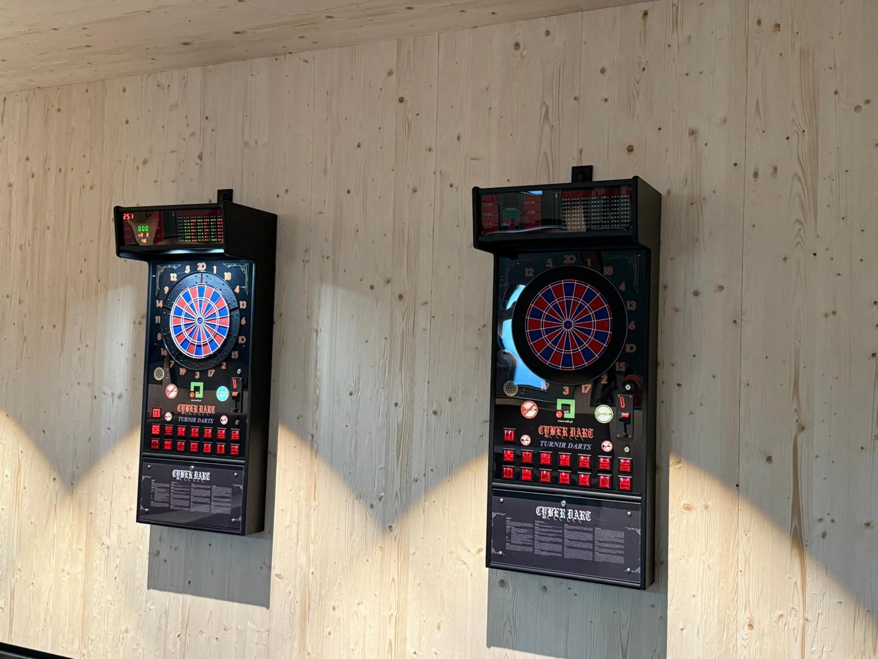 Darts in FAIR RESORT All Inclusive Wellness & Spa Hotel Jena