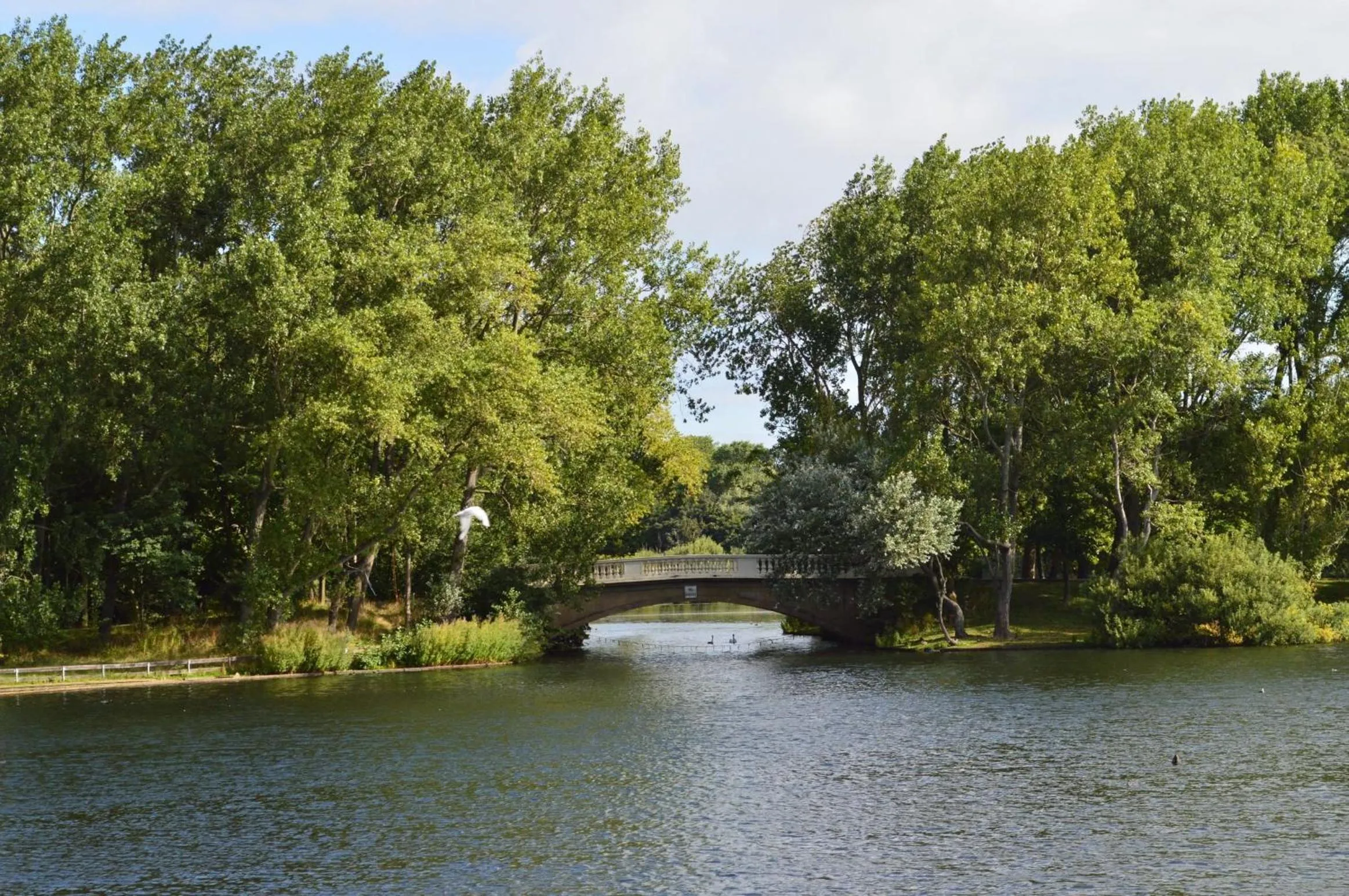 Fishing in The Aspire