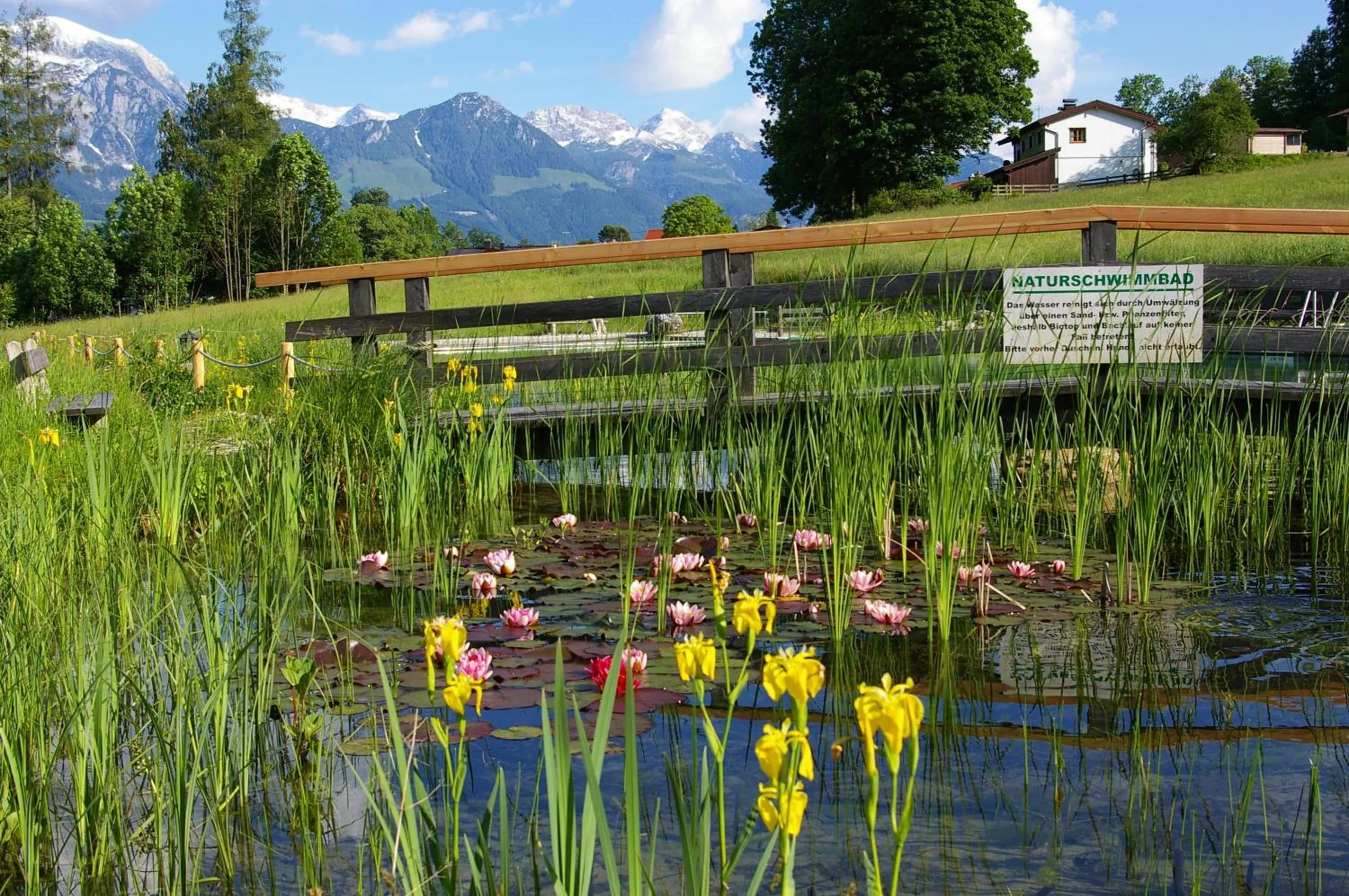 Swimming pool in Naturhotel Reissenlehen