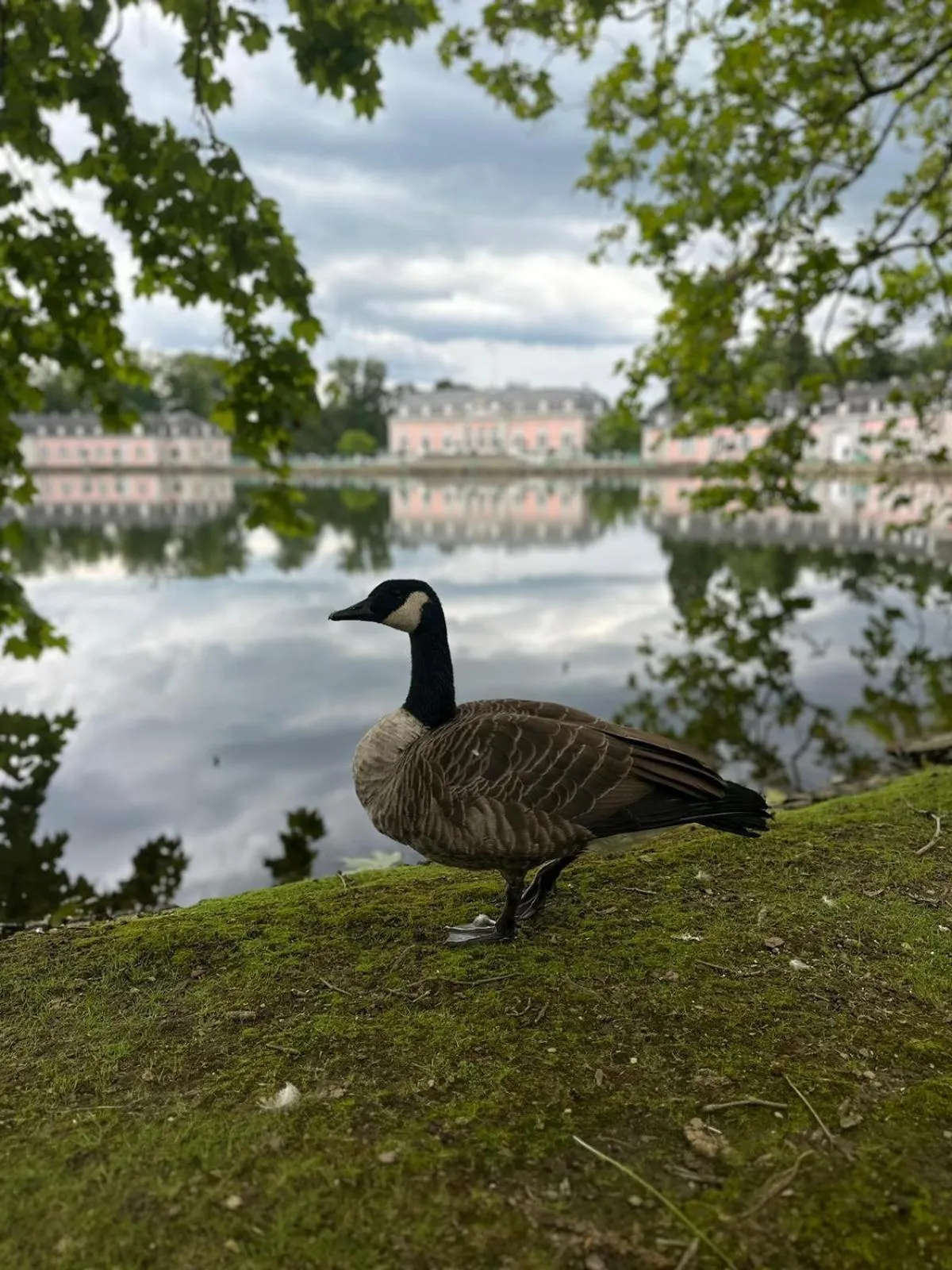 Demosan Hotel Hilden