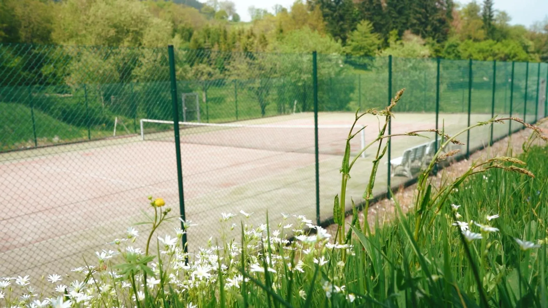 Tennis court in Hotel Hesborner Kuckuck