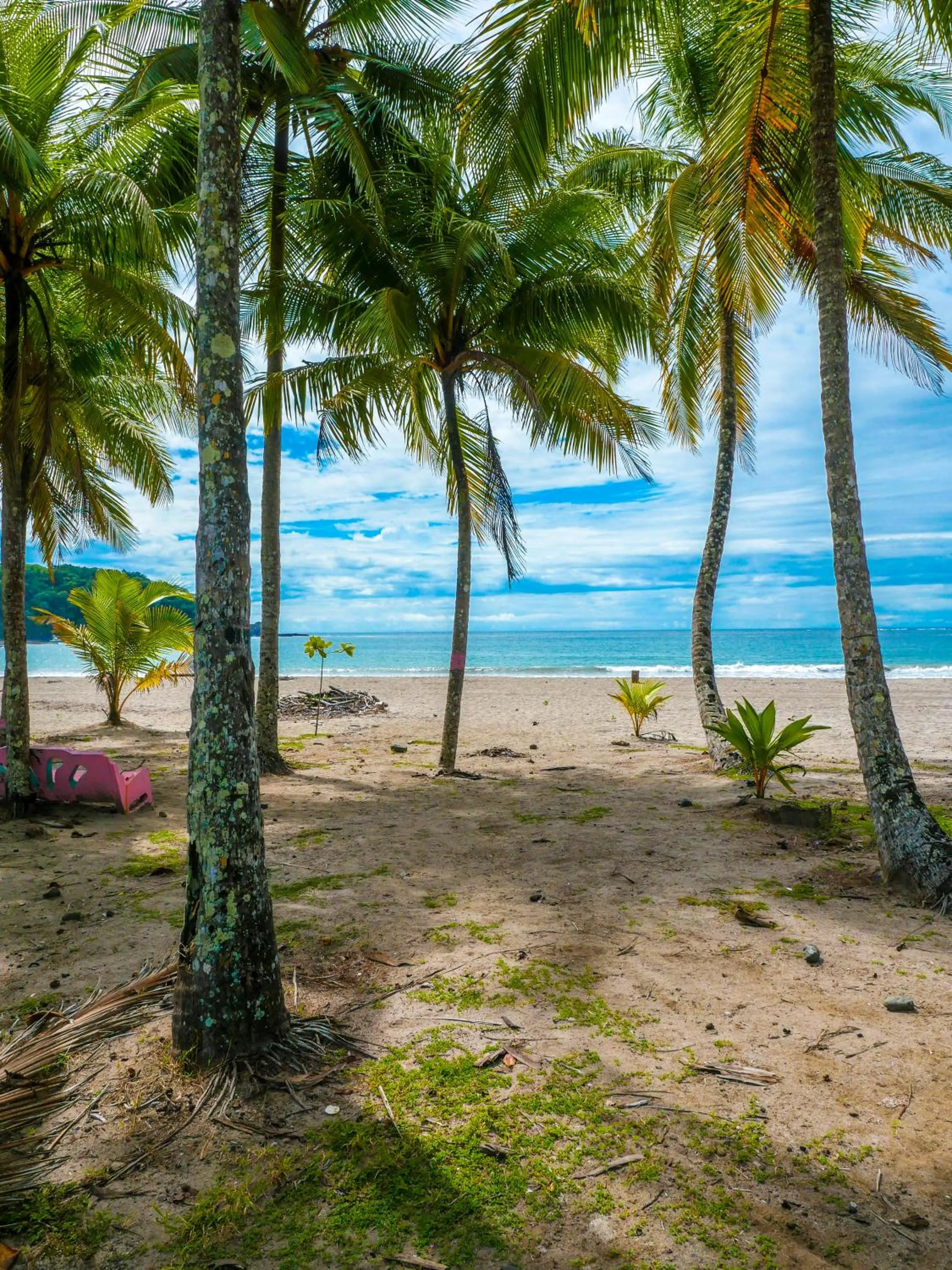 Natural landscape in Hotel Amira