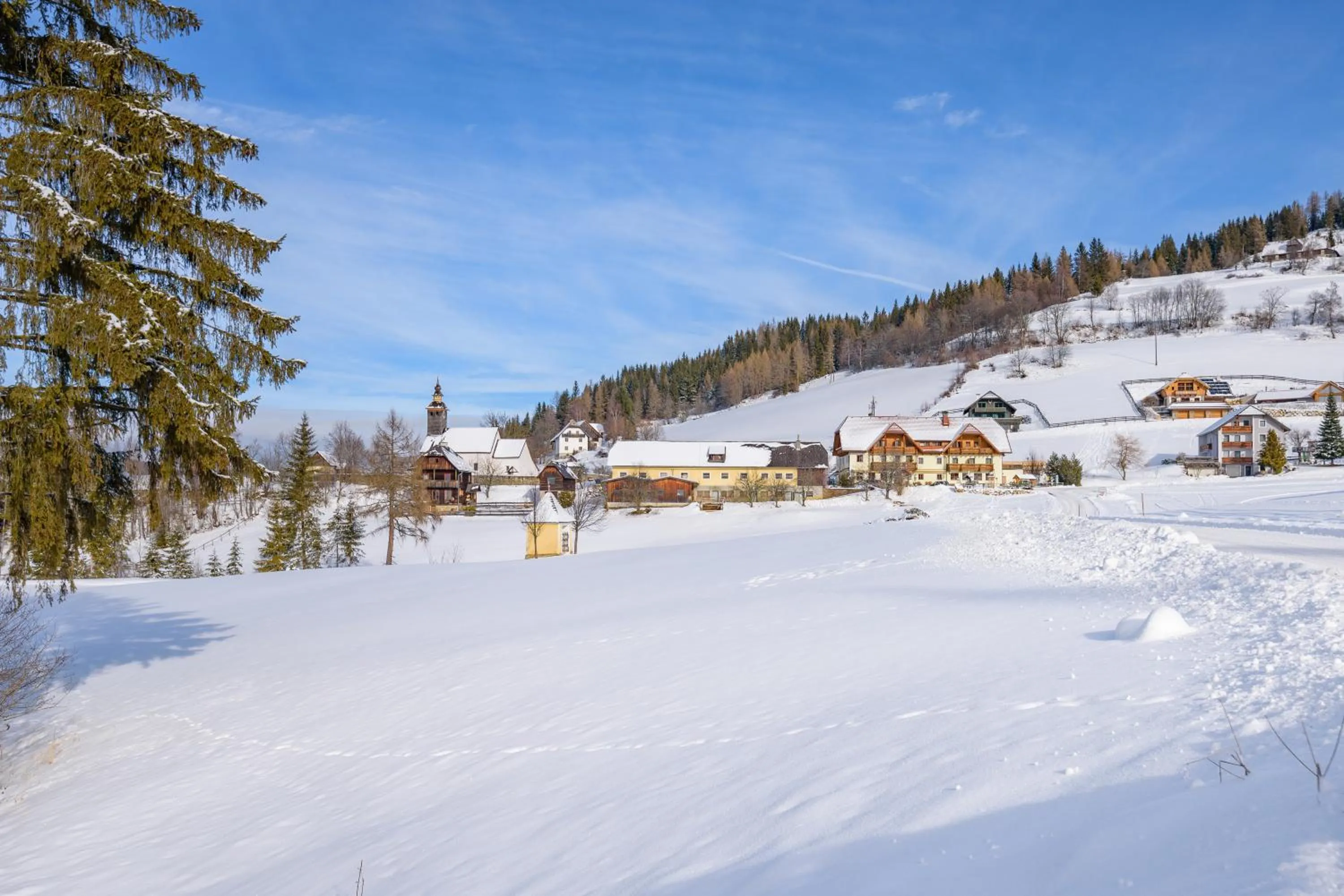 Day in Alpengasthof Moser