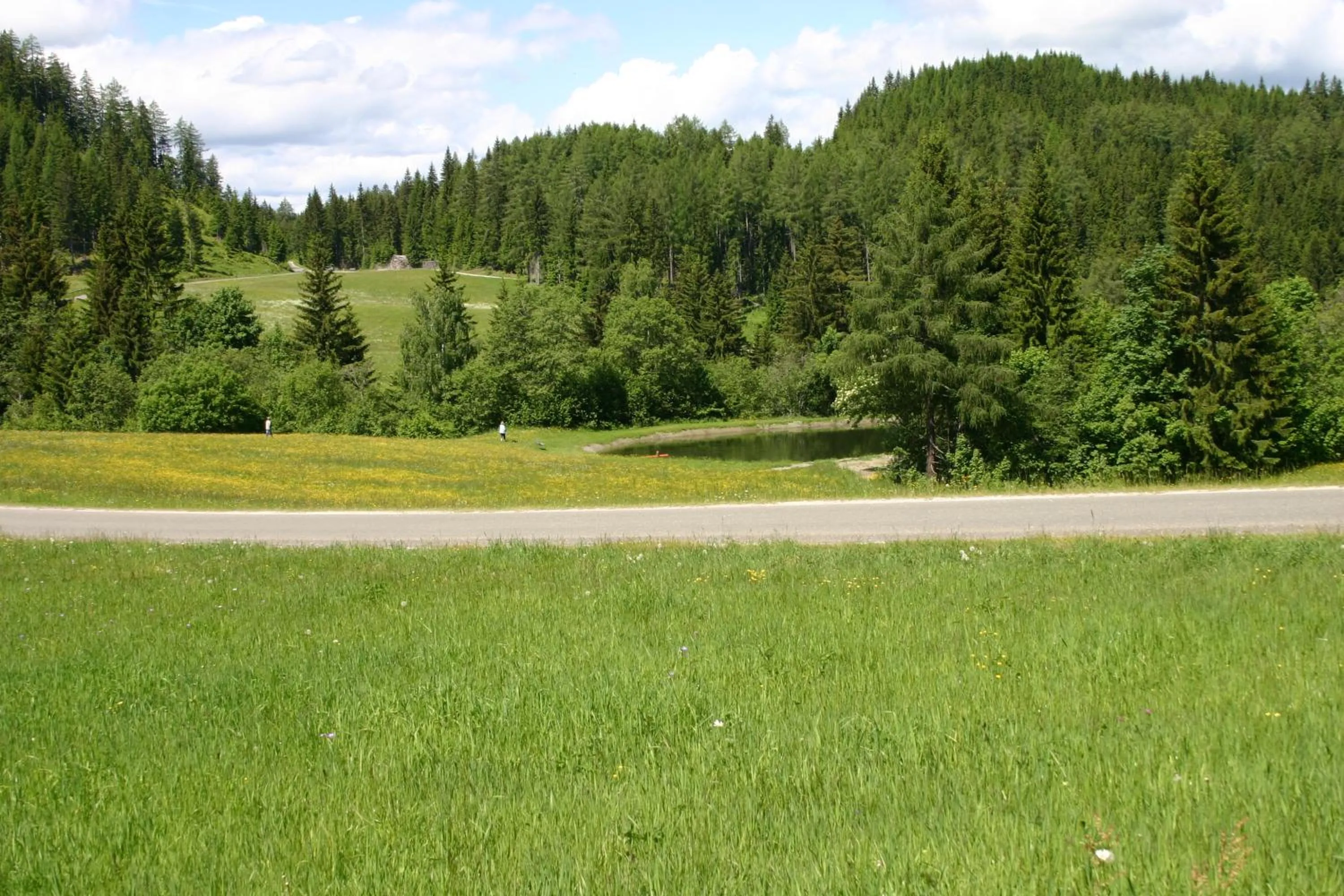 Area and facilities in Alpengasthof Moser