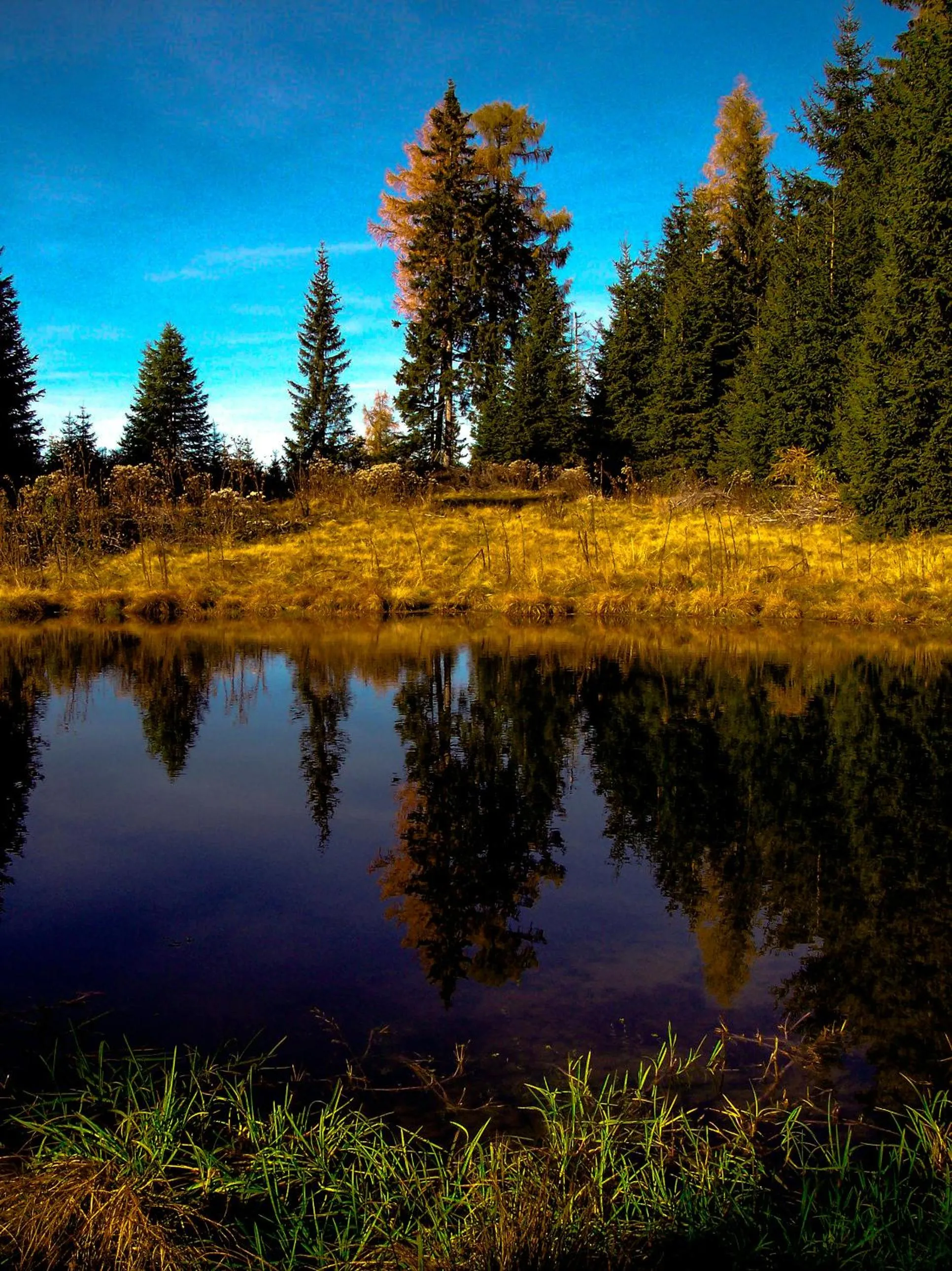 Natural landscape in Alpengasthof Moser