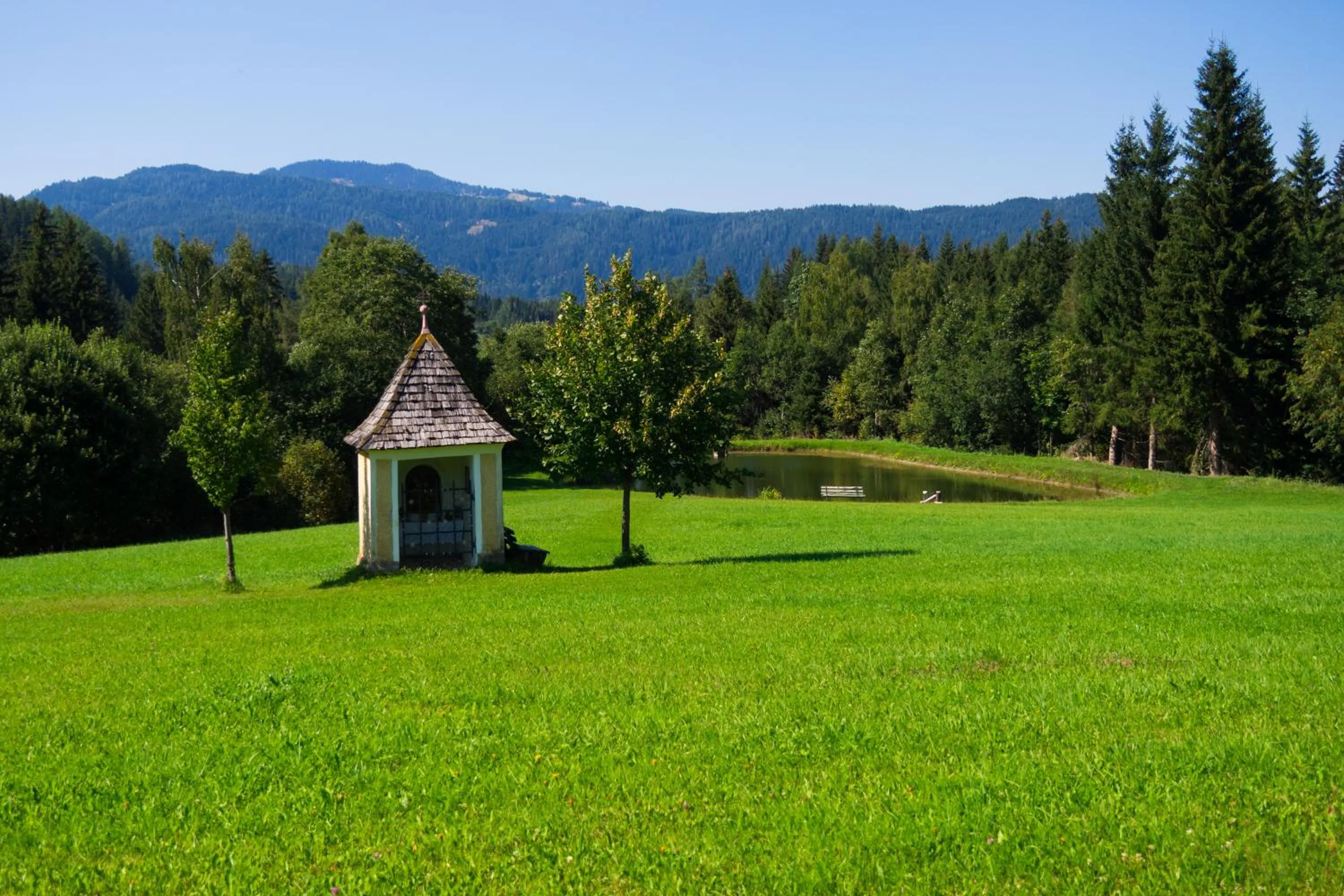 Fishing in Alpengasthof Moser