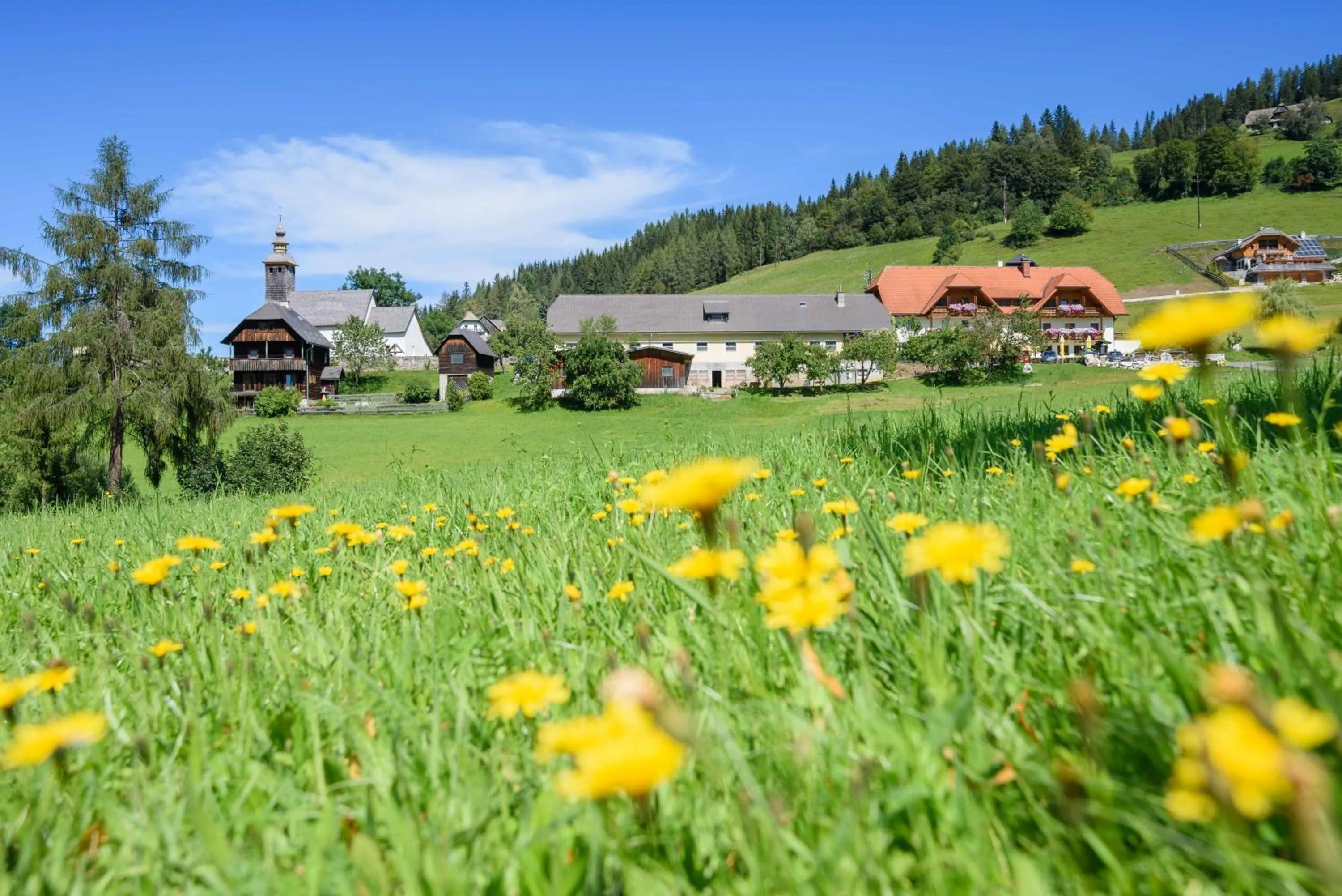 Property building in Alpengasthof Moser