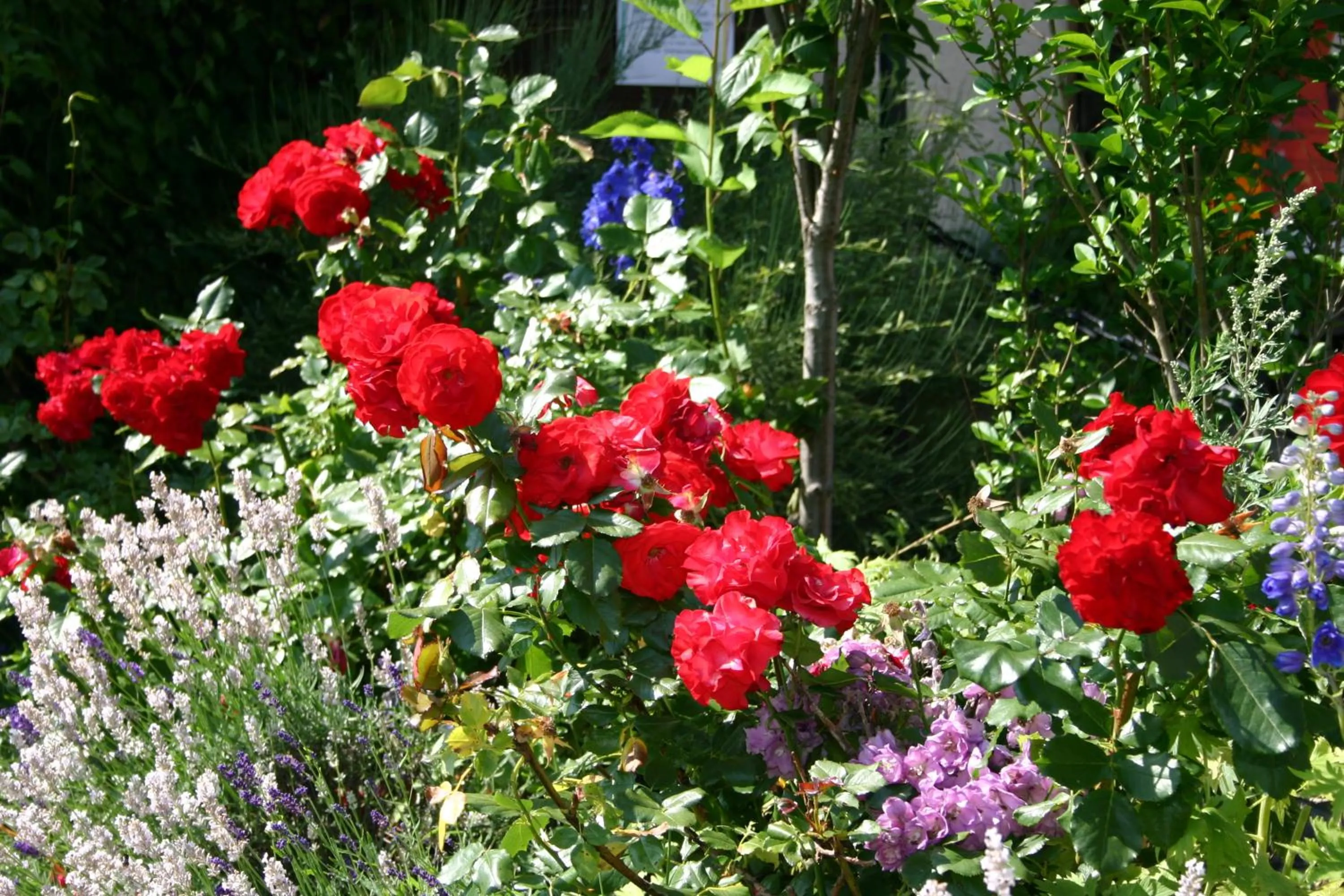 Summer in Alpengasthof Moser
