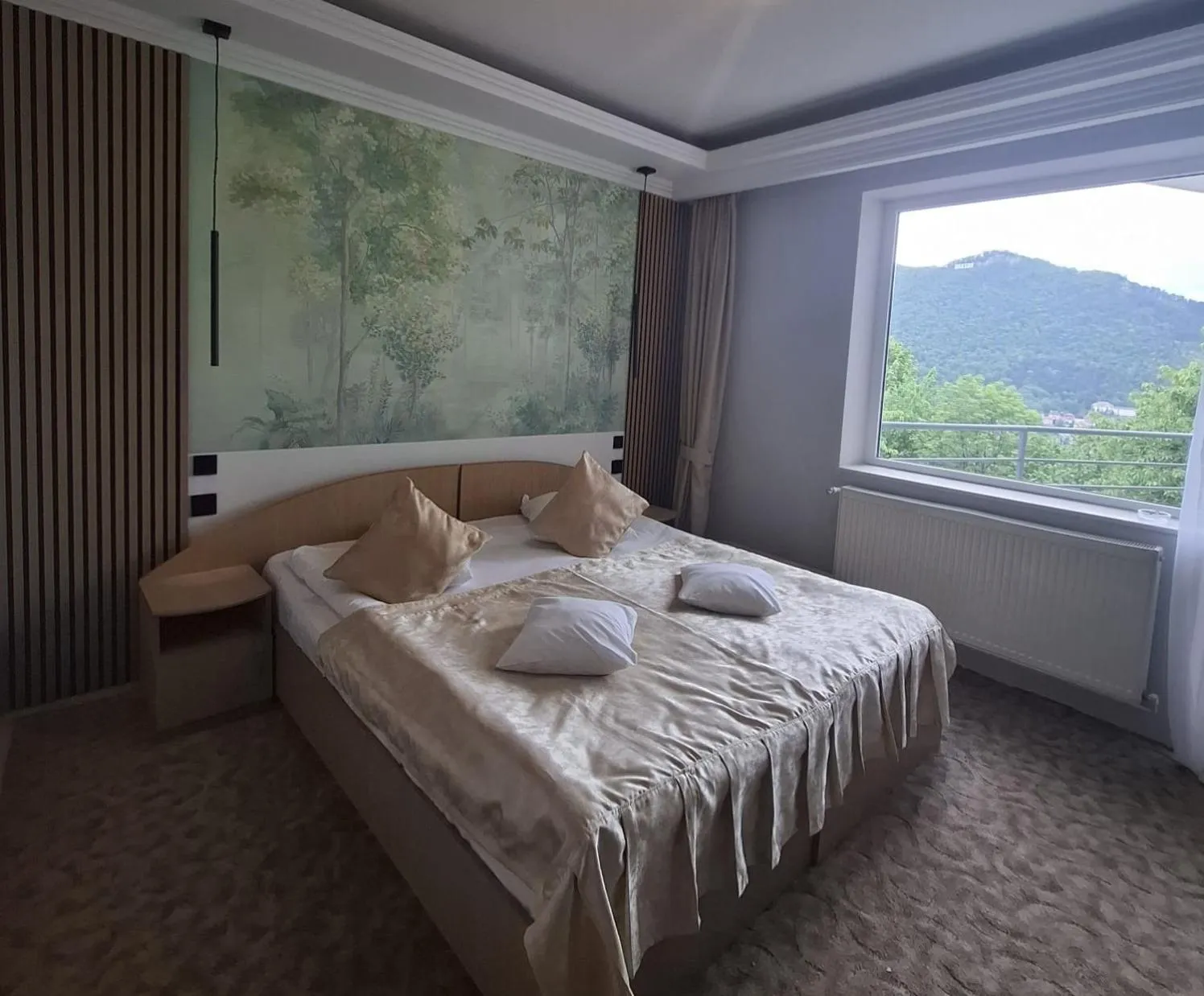 Deluxe Double Room in Pensiunea Warthe Bed & Breakfast