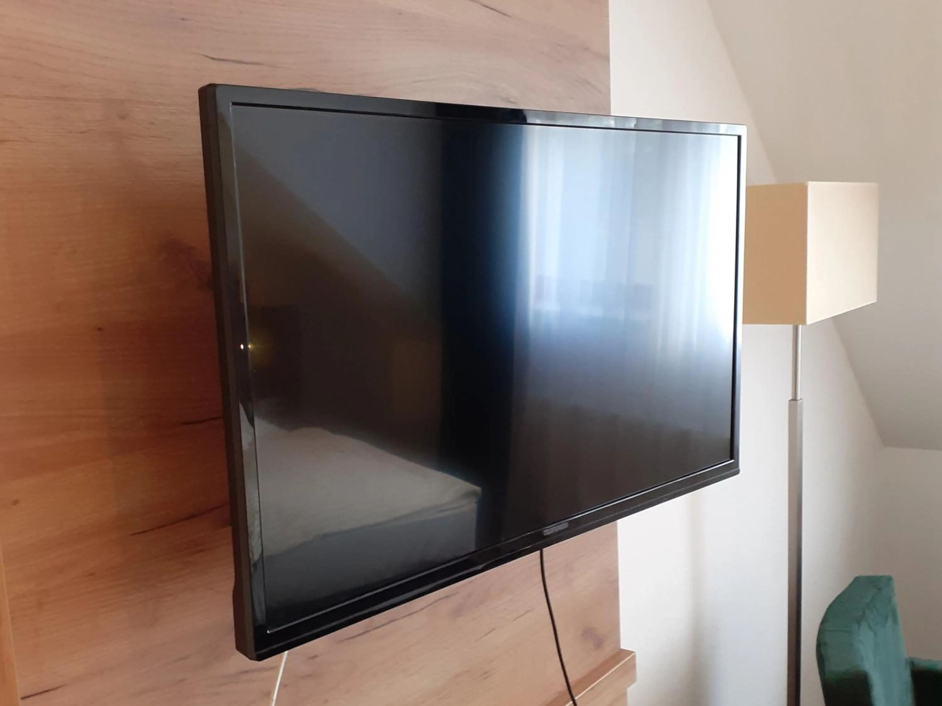 TV and multimedia in Land-gut-Hotel Zum alten Forsthaus - Aufladestation für Elektroautos