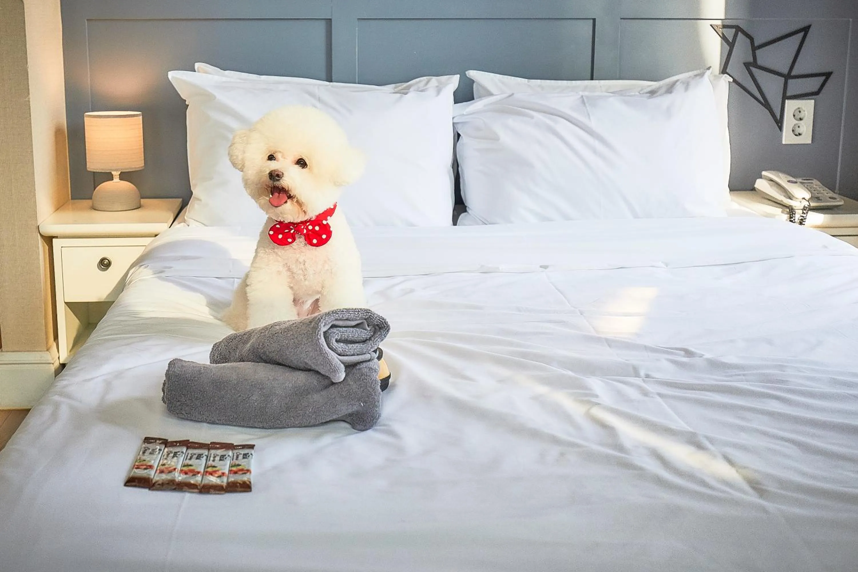 Photo of the whole room, Bed in Hotel POCO Seongsu