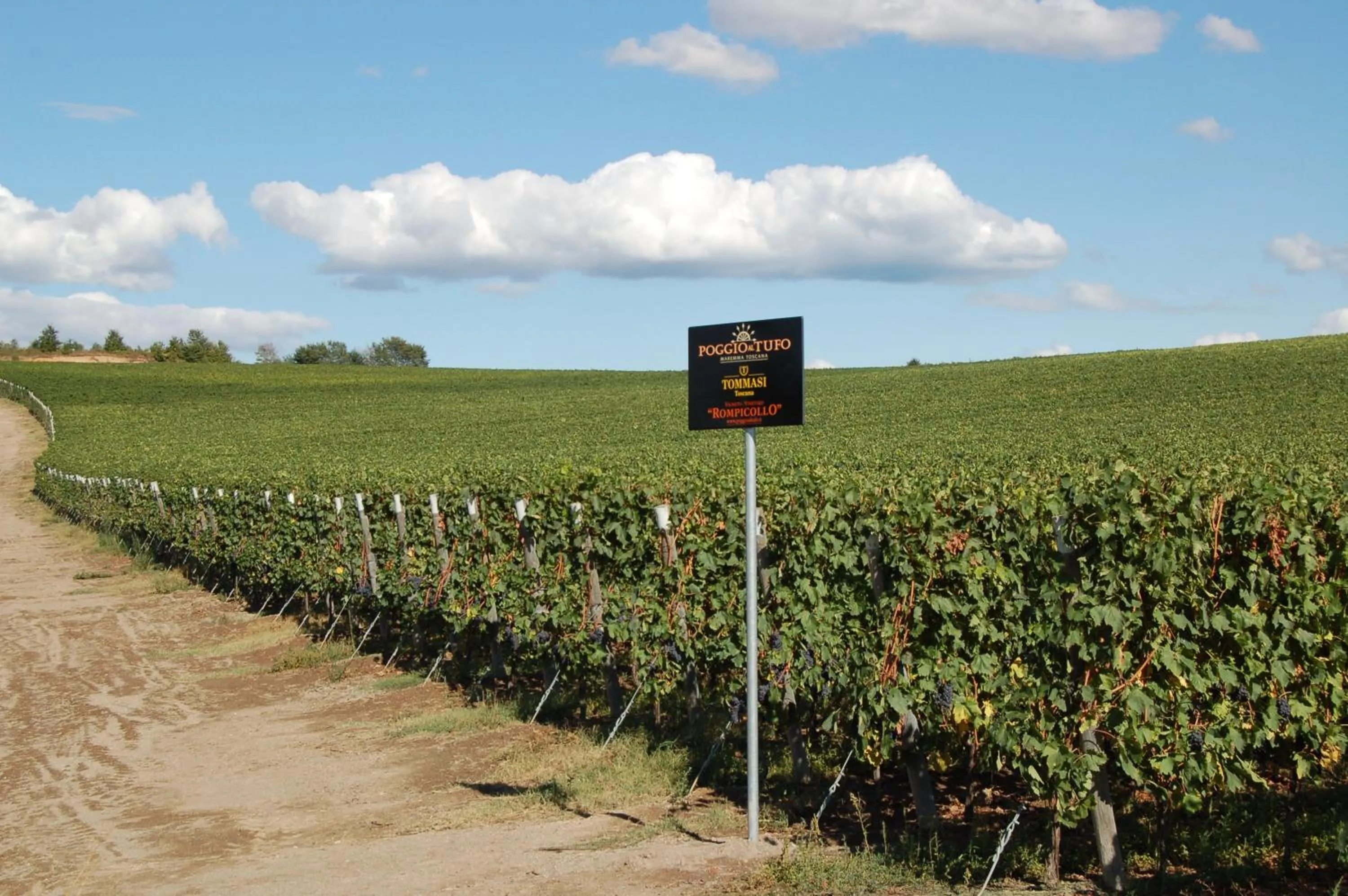 Garden view in Agriturismo Poggio Al Tufo